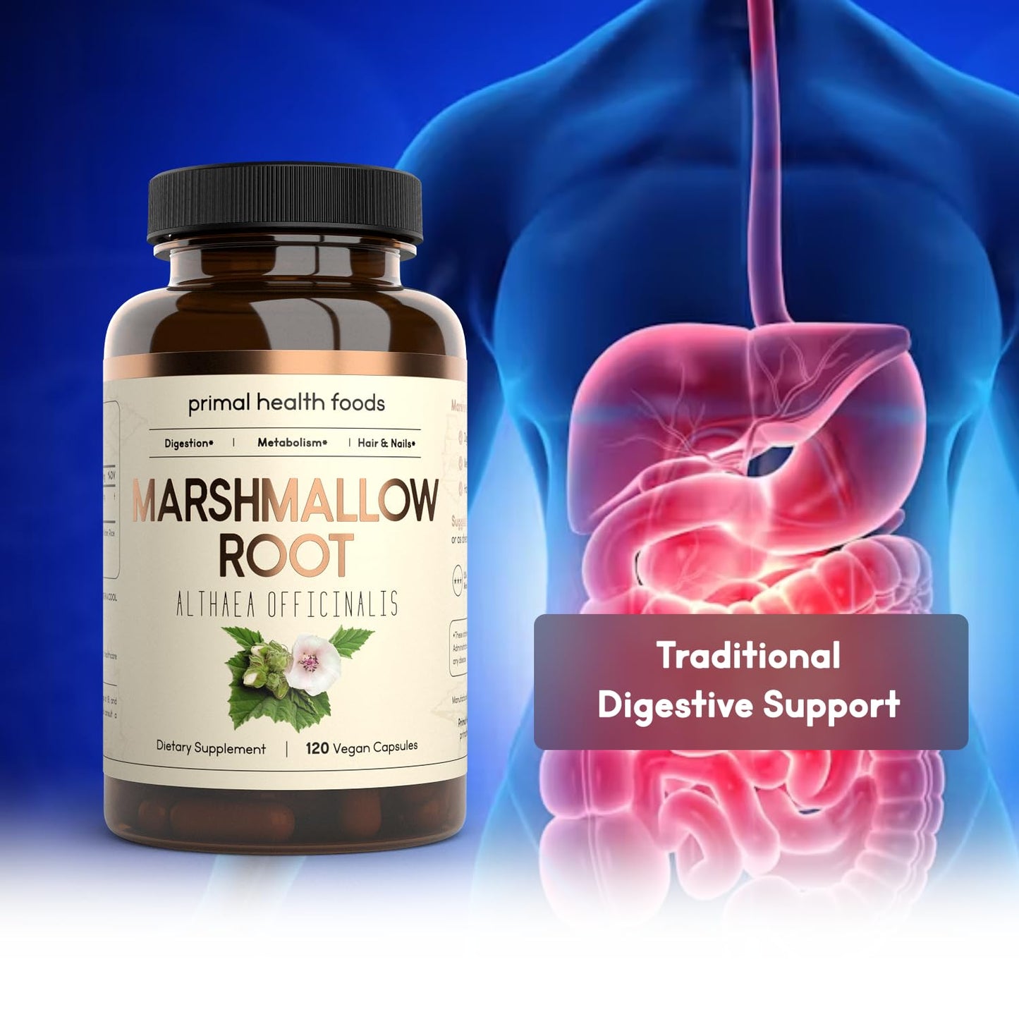 Primal Health Foods Marshmallow Root 1000 mg Capsules, 60 Count