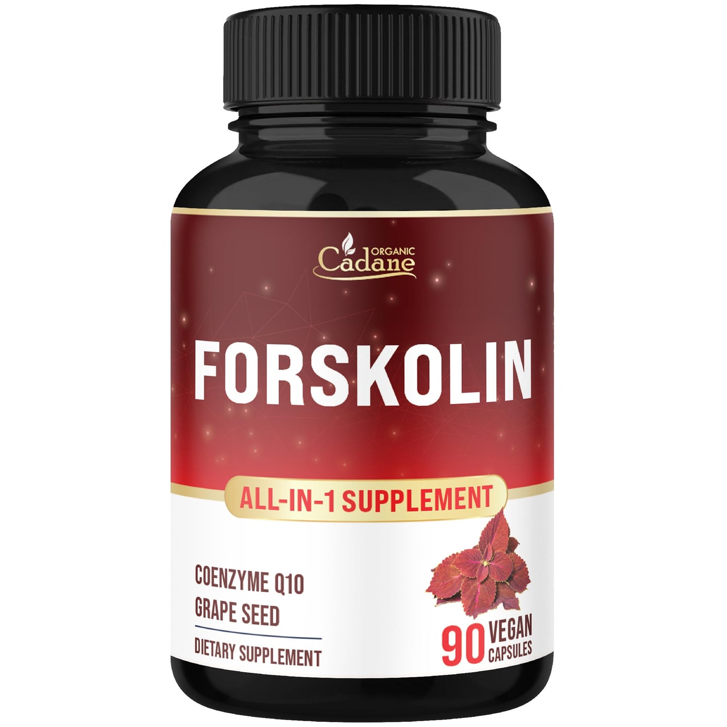 Organic Cadane Forskolin Supplement with Coenzyme Q10 & Grape Seed Extract 90 Capsules