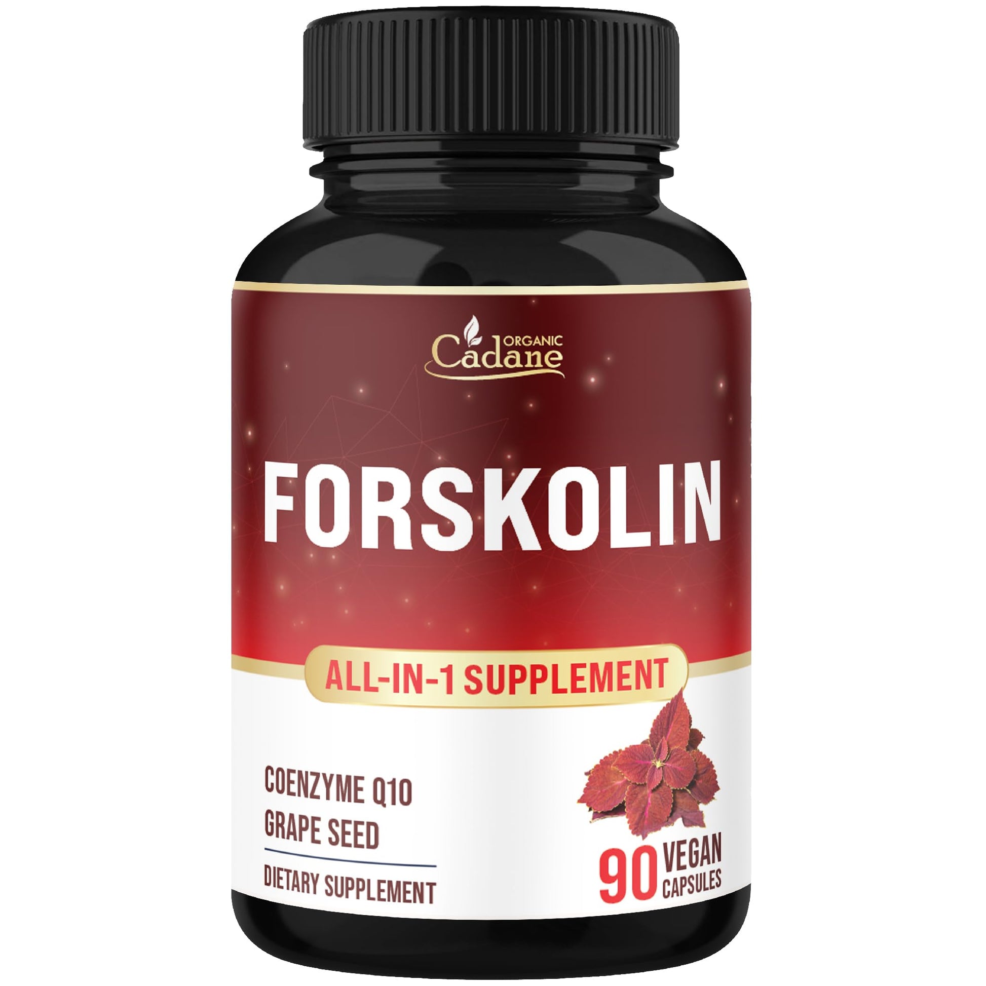 Organic Cadane Forskolin Supplement with Coenzyme Q10 & Grape Seed Extract 90 Capsules