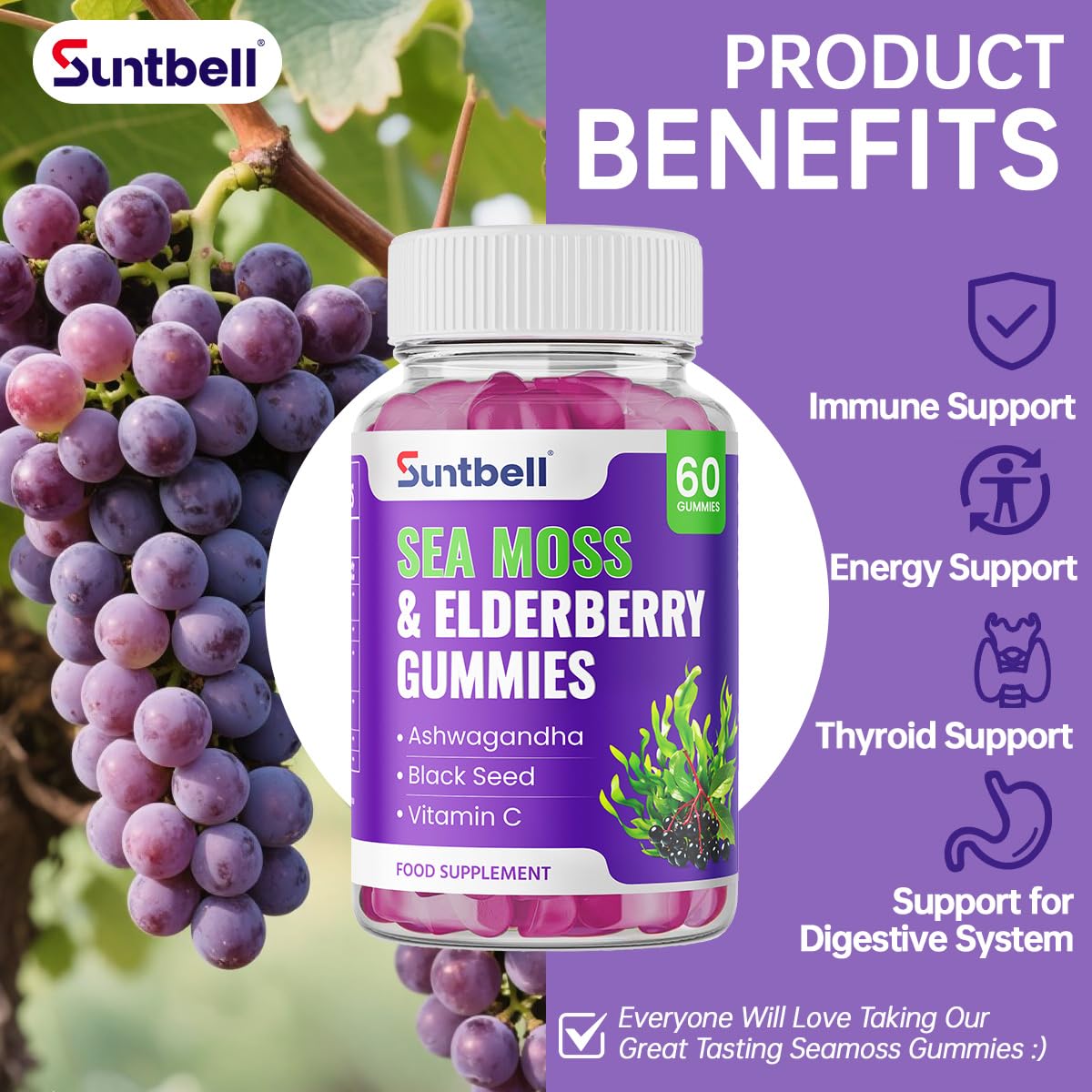 Suntbell Sea Moss Gummies, Immune Support with Elderberry, Ashwagandha, Zinc & Vitamin C, Vegan, Grape Flavor, 60 Gummies