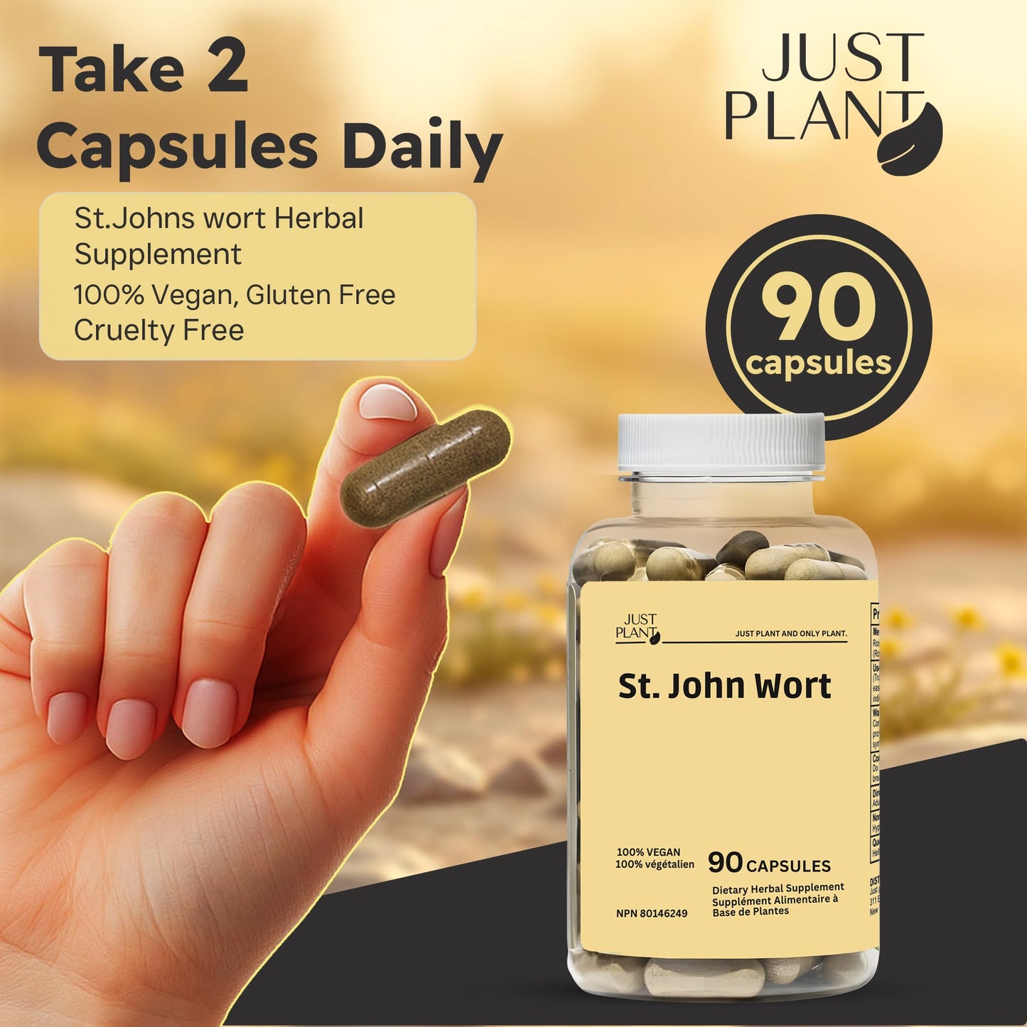 Just Plant St. John's Wort 750 mg Capsules 90 Count