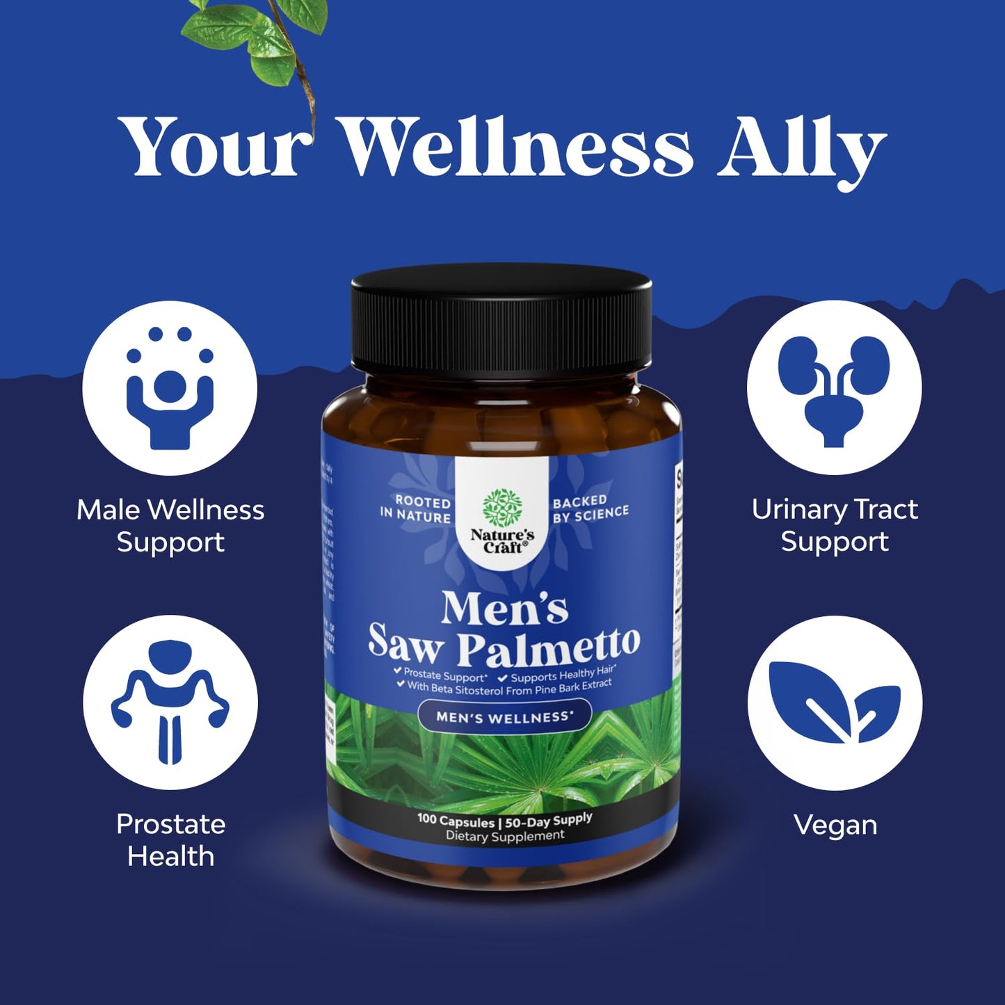 Natures Craft Saw Palmetto for Men with Beta Sitosterol Capsule 100 Count