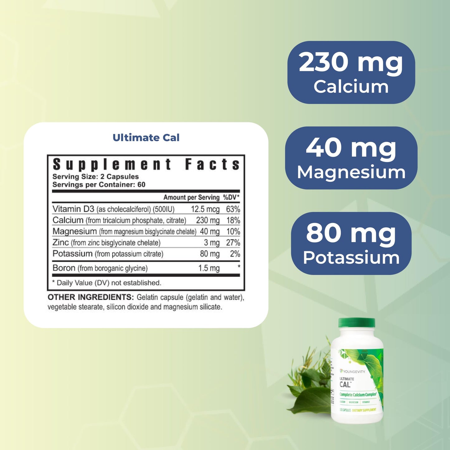 Youngevity Ultimate Cal Calcium Magnesium Bone Health Supplement Capsule 120 Count