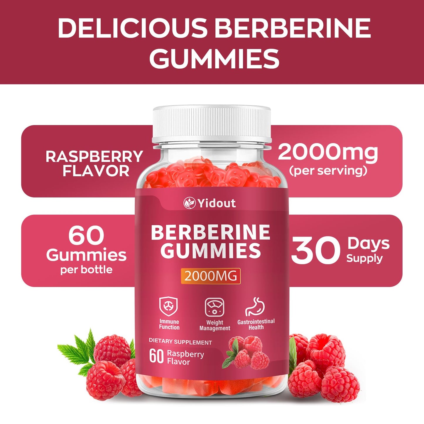Yidout Berberine HCL 2000mg Gummies Raspberry, 60 Count