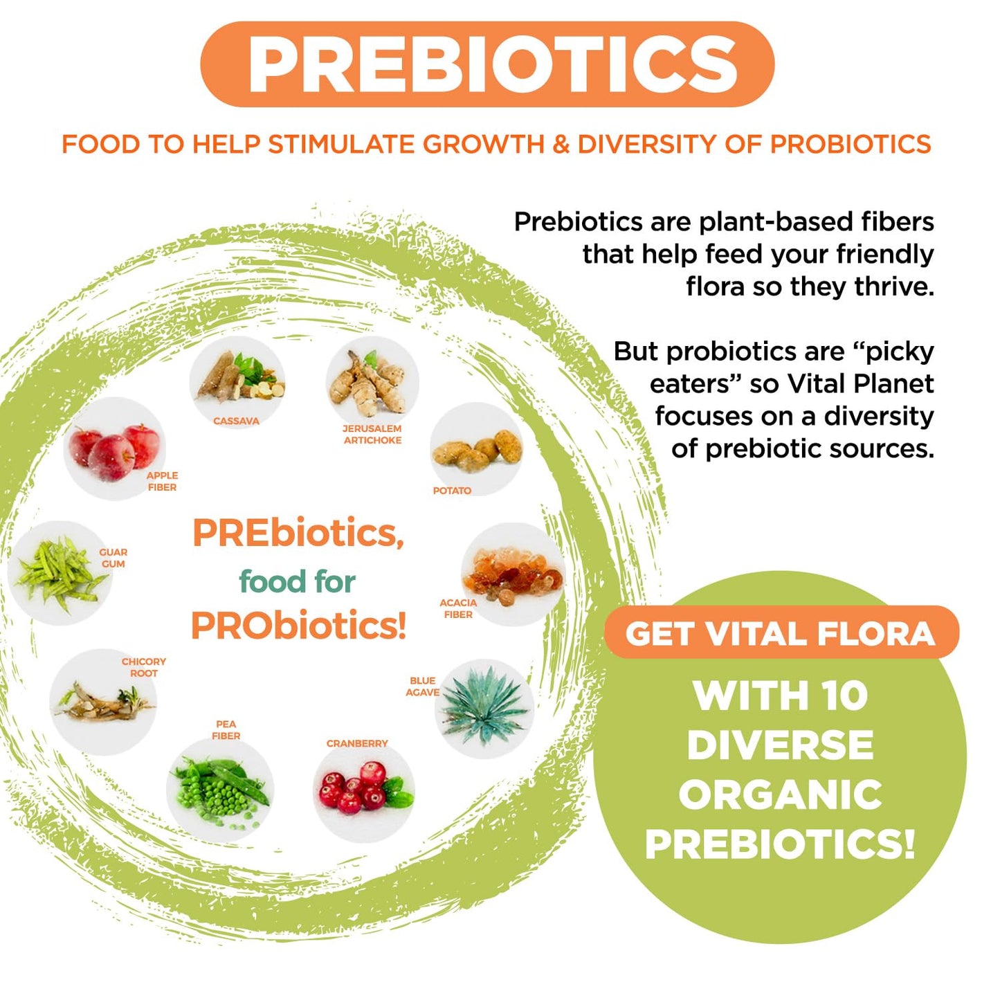 Vital Planet Vital Flora Advanced Biome Probiotic 100 Billion CFU, 100 Strains, 10 Organic Prebiotics, Immune Support, Colon and Digestive Health Probiotics for Women and Men, Capsule, 30 Count