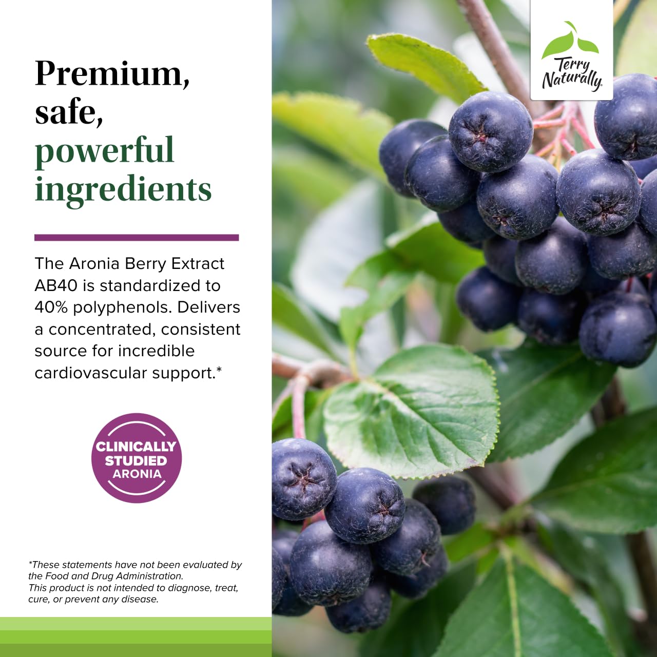 Terry Naturally Aronia Berry Complex with Grape Seed Extract 60 Capsules