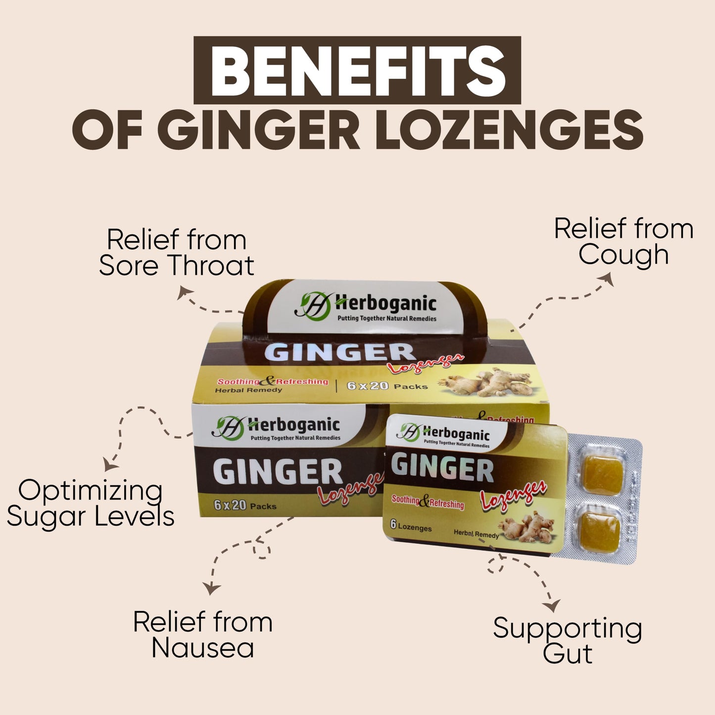 HERBOGANIC Ginger Lozenges Tablet 120 Tablets