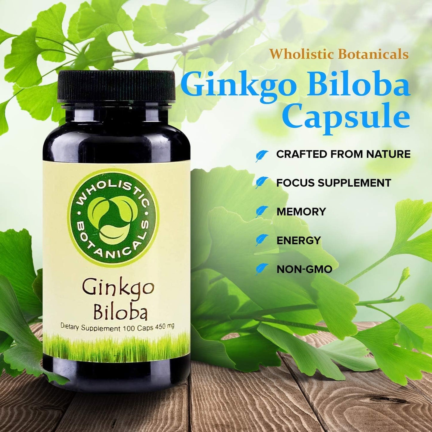 Wholistic Botanicals Ginkgo Biloba Capsule 1 Count