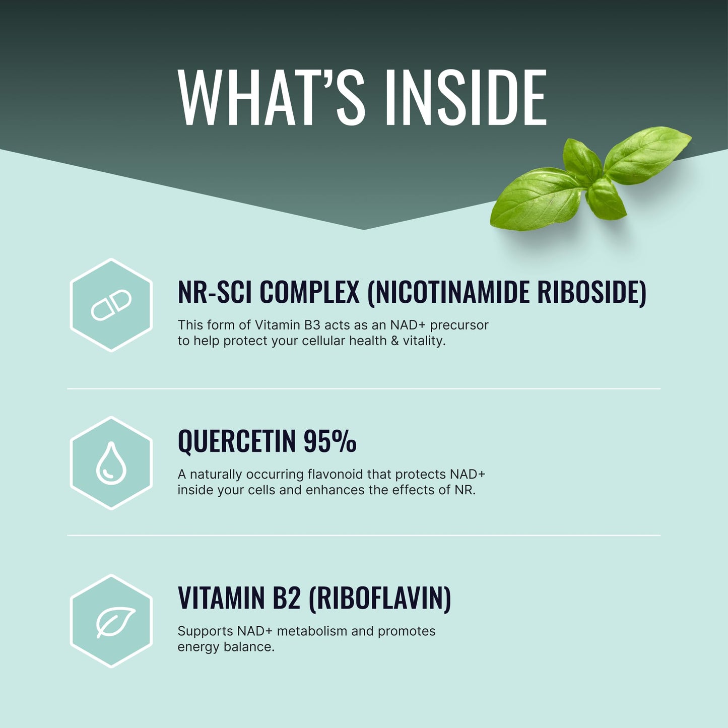 Approved Science NAD+ 300mg NR, Quercetin, Vitamin B2, BioPerine Capsules, 60 Count
