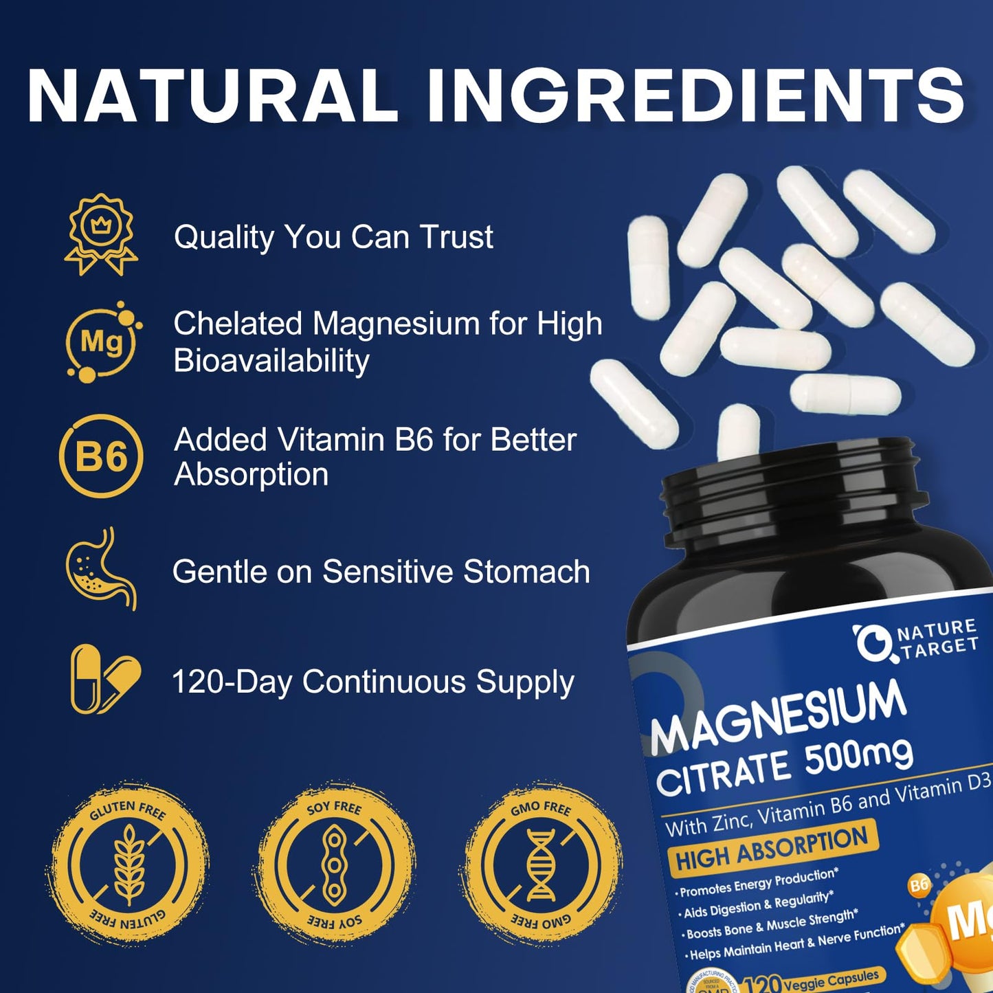 Nature Target Magnesium Citrate 500mg with Zinc & Vitamin D Capsules, 120 Count