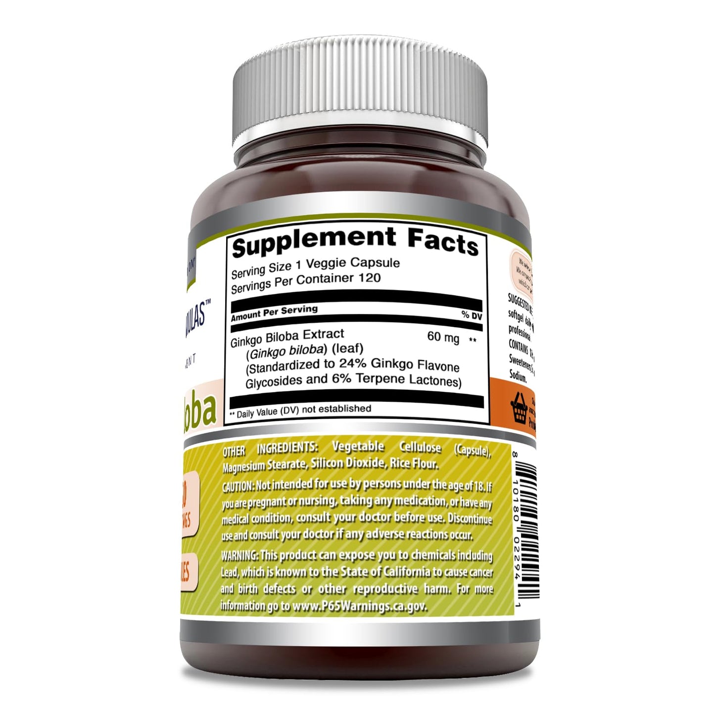 Amazing Nutrition Ginkgo Biloba Extract Capsules 120