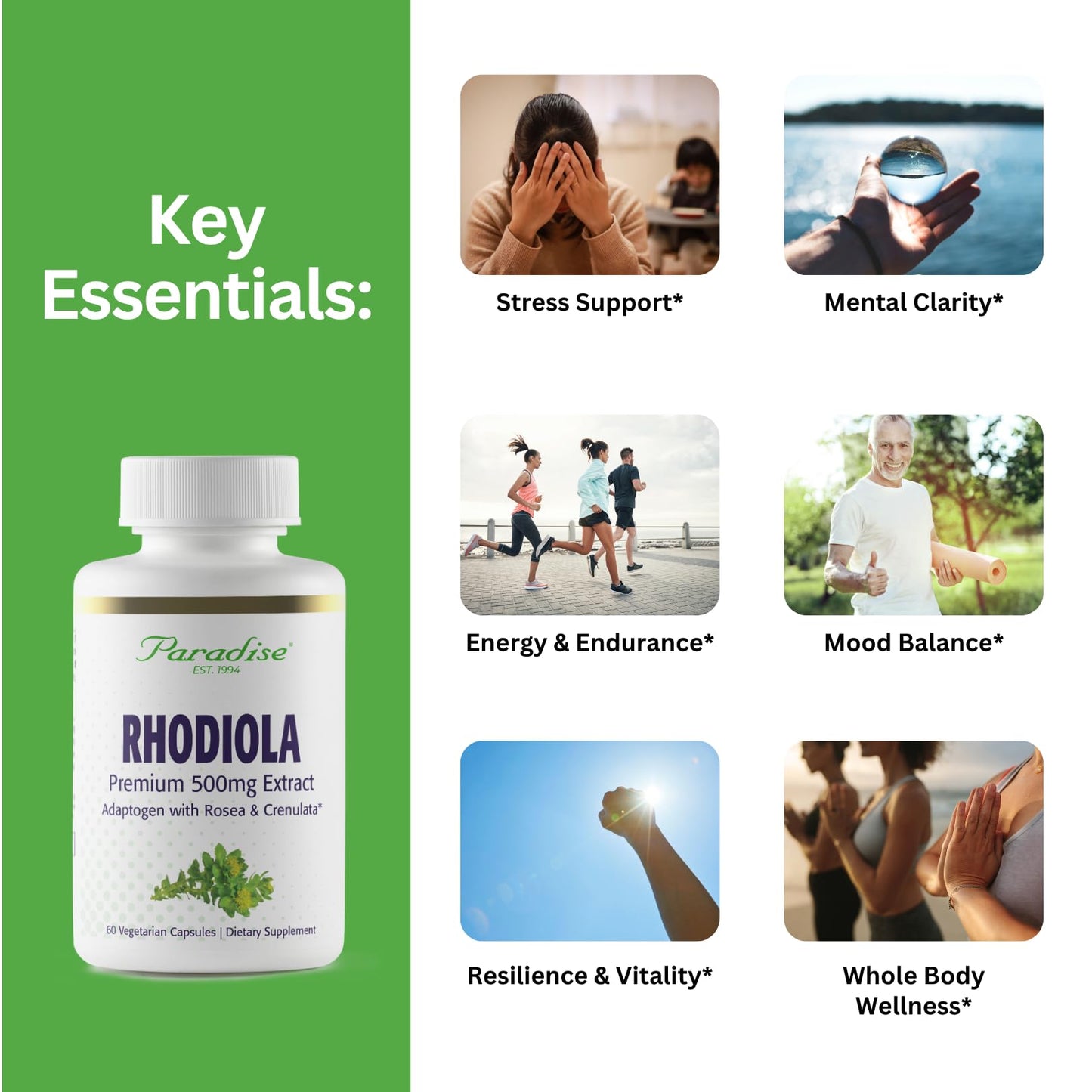 Paradise Herbs Rhodiola Extract 500mg Capsules, 60 Vegetarian Capsules
