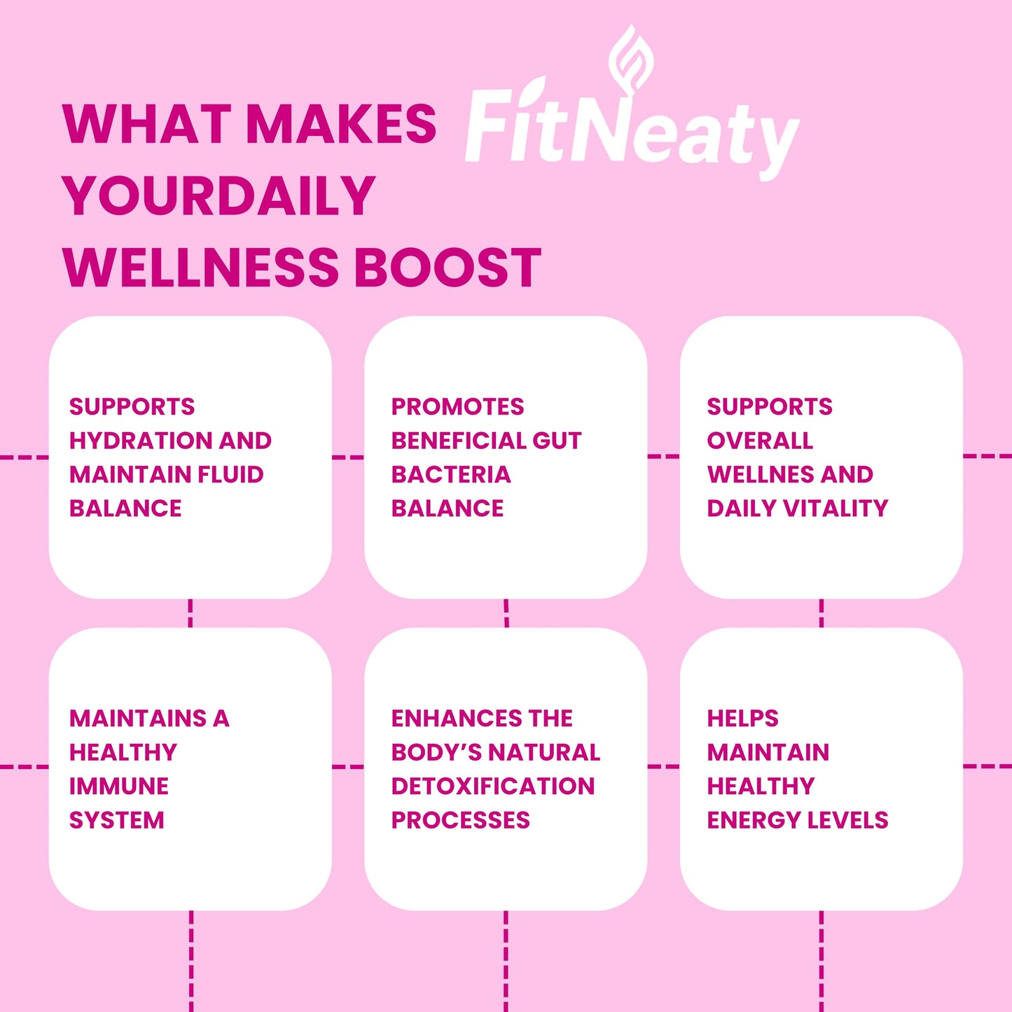 FitNeaty Fiber Supplement Powder 1 Pack