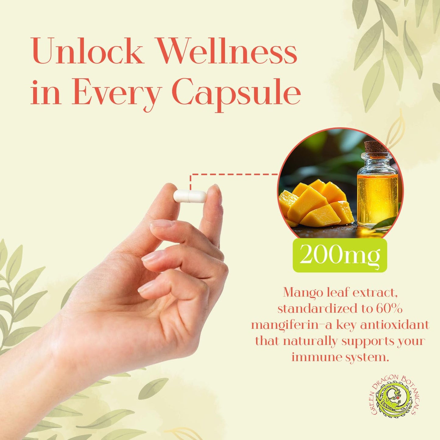 Green Dragon Botanicals MangoForte Mango Leaf Supplements 200 mg Capsules 60 Count