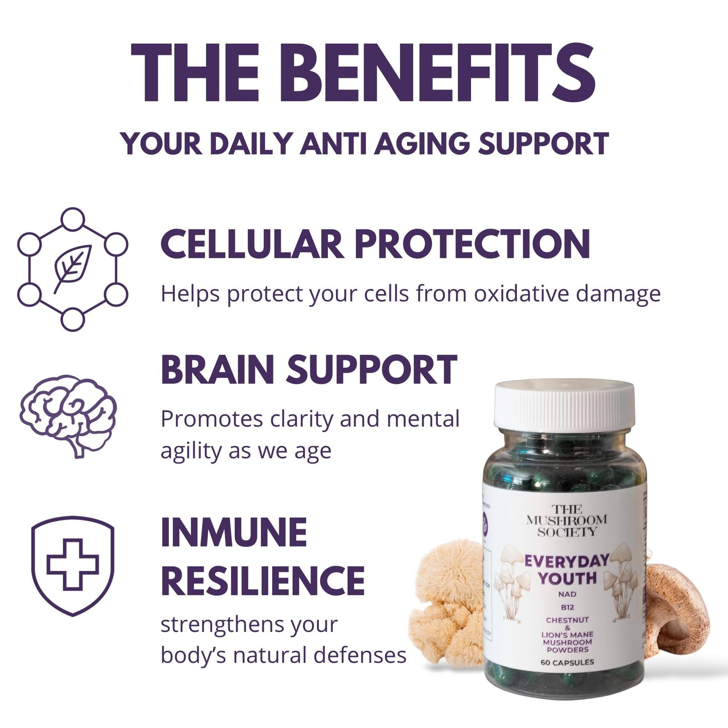 The Mushroom Society All Day Bundle Morning Rush, Chill Pill & Everyday Youth Capsules, 360 Capsules