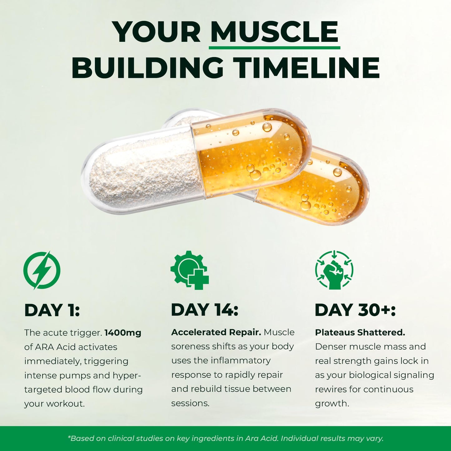Enhanced Arachidonic Acid Supplement Capsule 120 Count