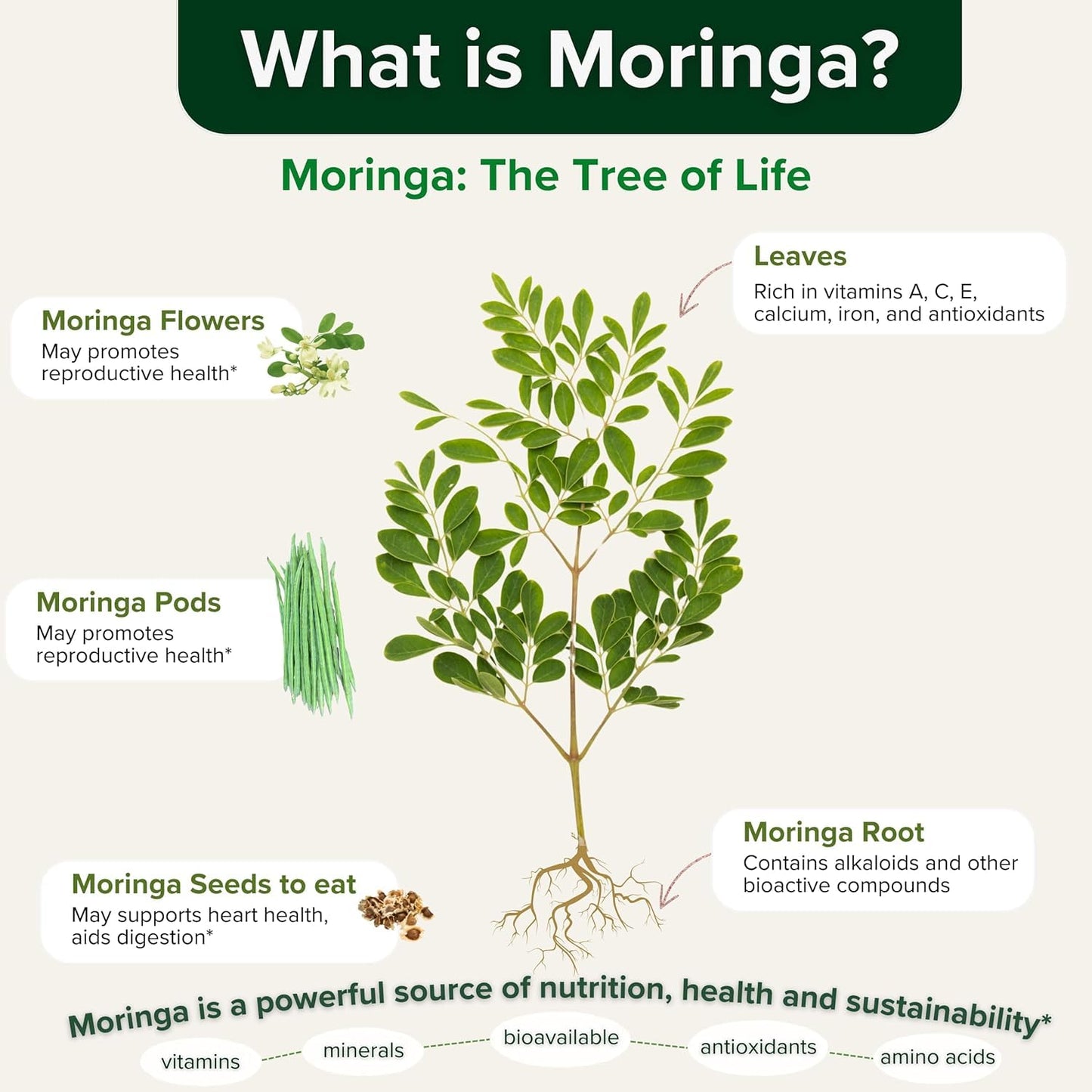 healblend Moringa Oleifera Leaf Powder Capsules, 60 Count