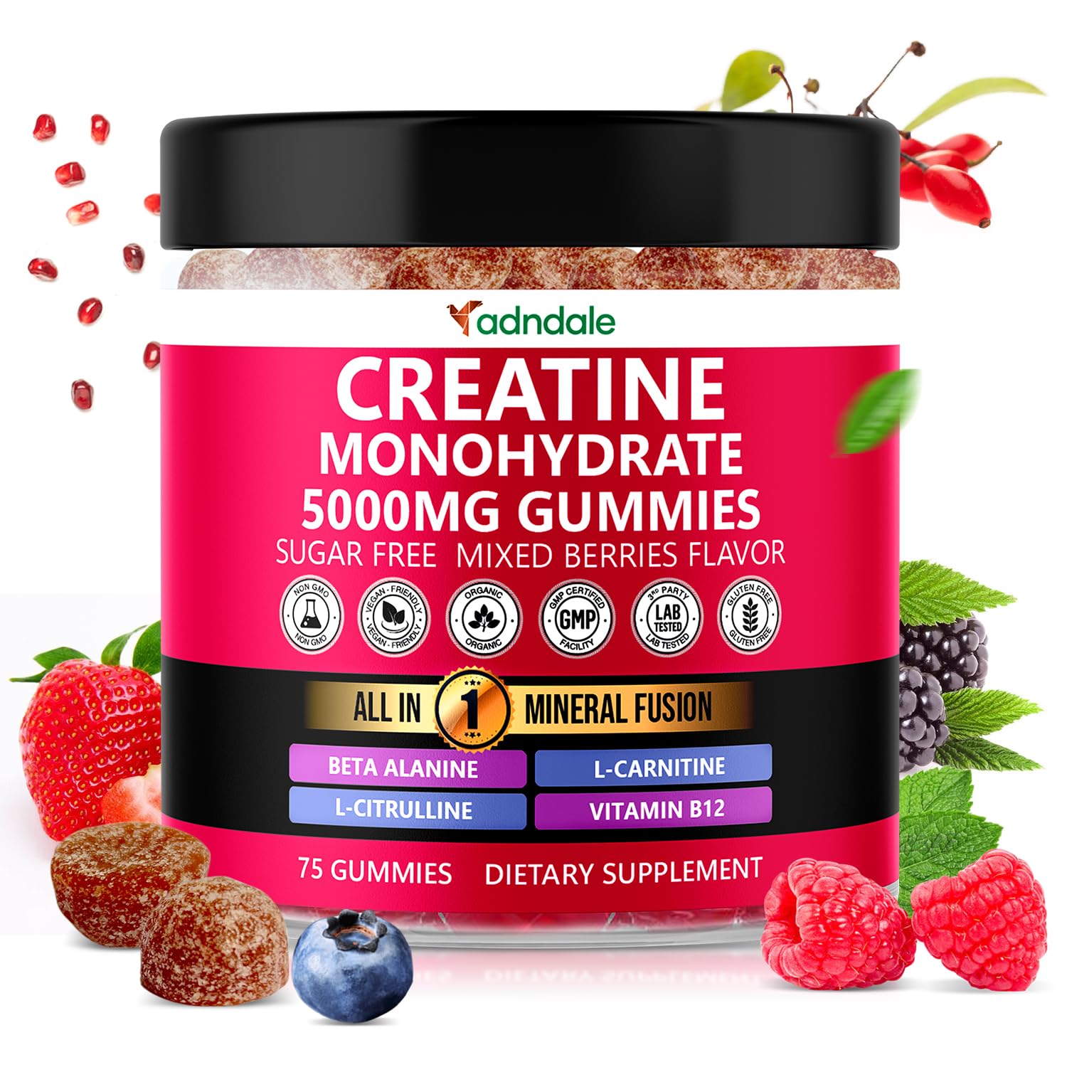 Adndale Creatine Gummies 75 Count