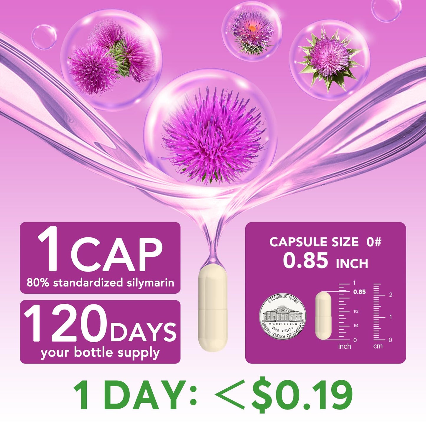 Surebounty Milk Thistle Capsule 120 Count