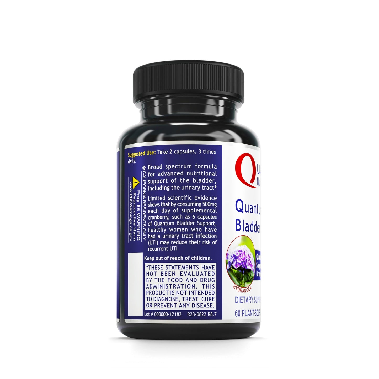 Quantum Nutrition Quantum Bladder Support Cranberry Capsule, 60 Capsules