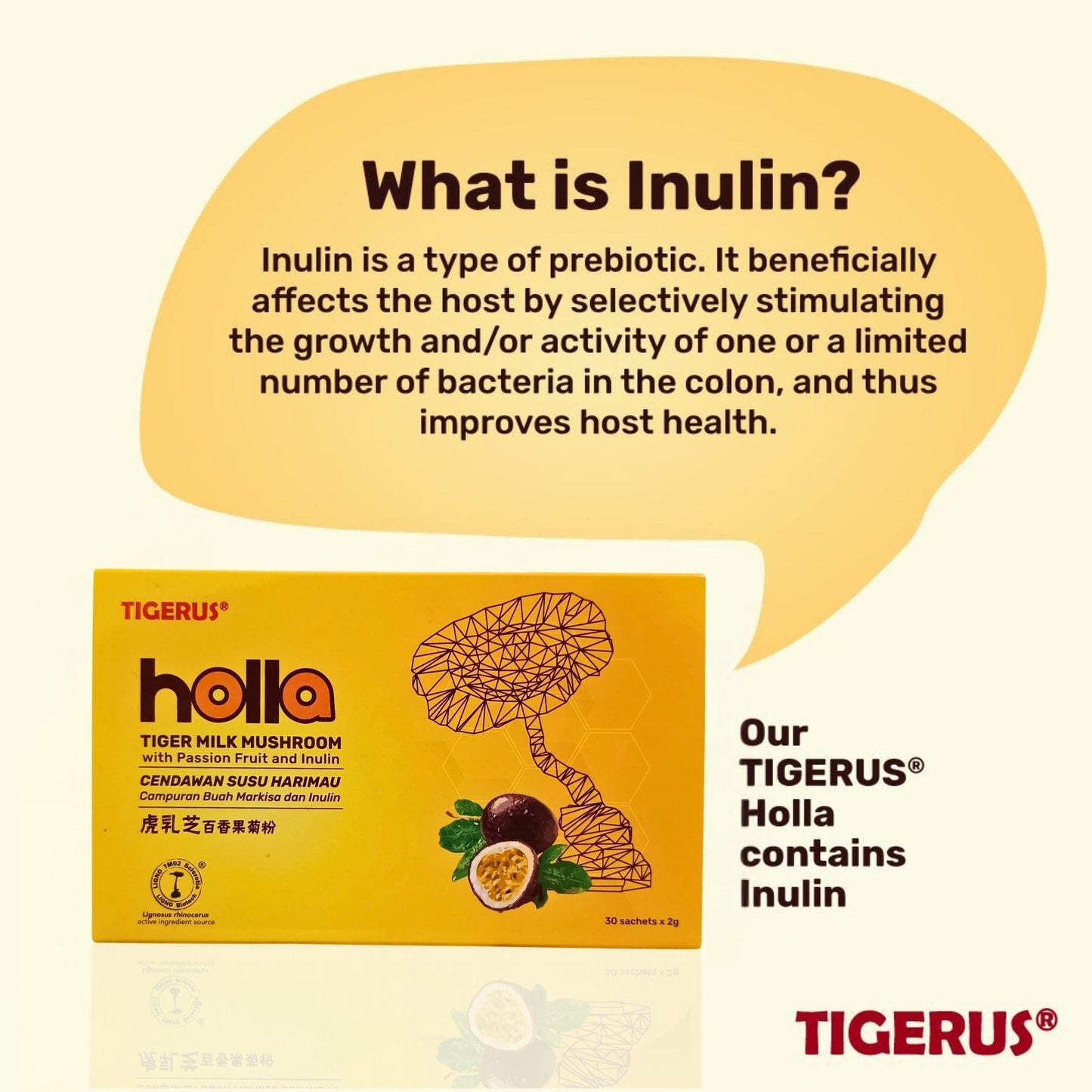 TIGERUS Holla Tiger Milk Mushroom with Passion Fruit and Inulin Powder 0.07 oz