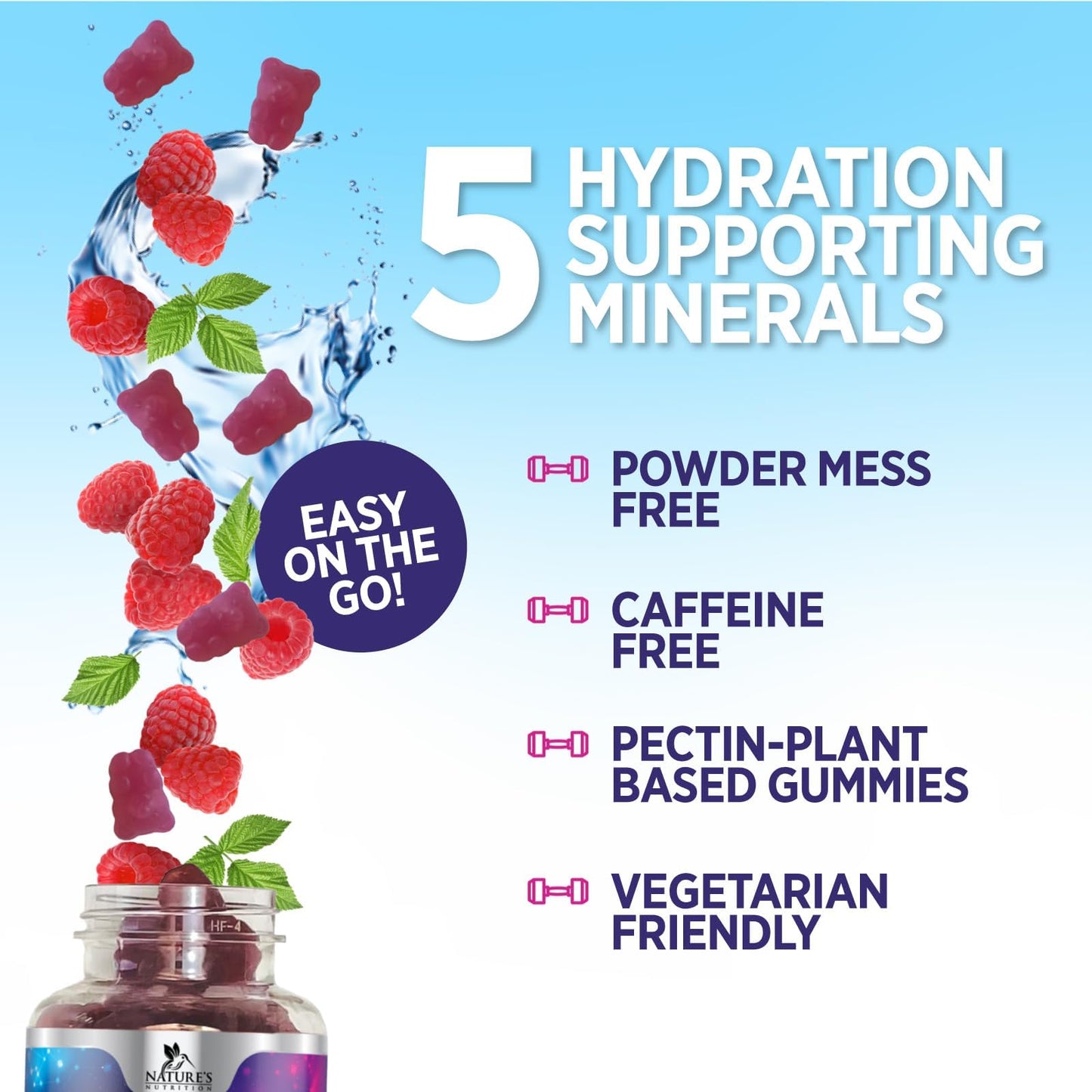 Nature's Nutrition Hydration Electrolyte Gummies 60 Count