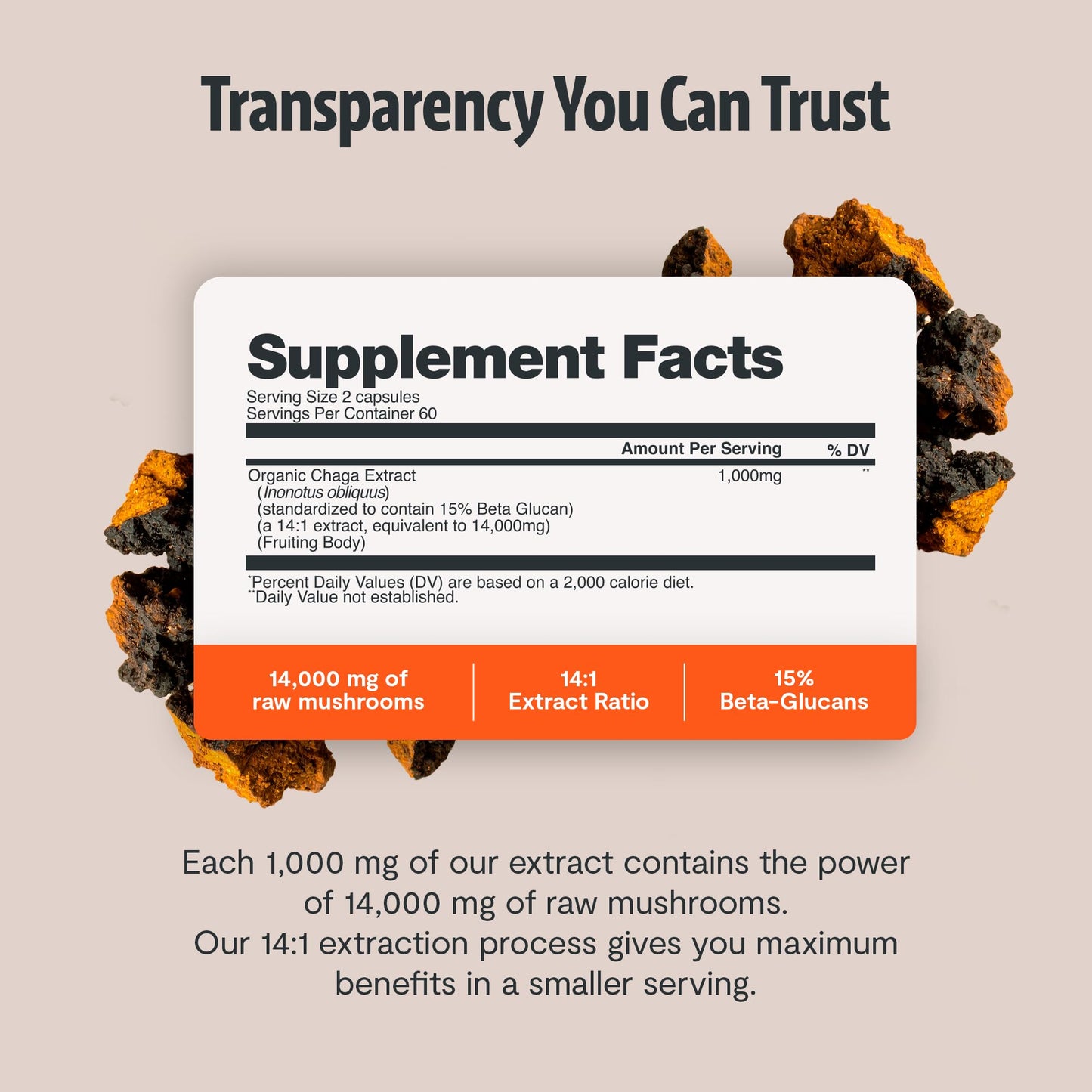 FreshCap Mushrooms Premium Organic Chaga Supplement Capsules 120