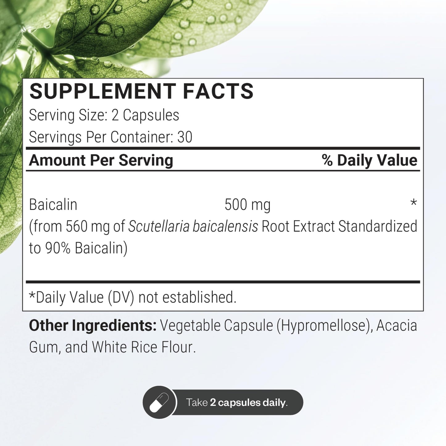 Supersmart Baicalin 90% 500mg (Scutellaria Baicalensis) Chinese Skullcap Capsule 60 Count