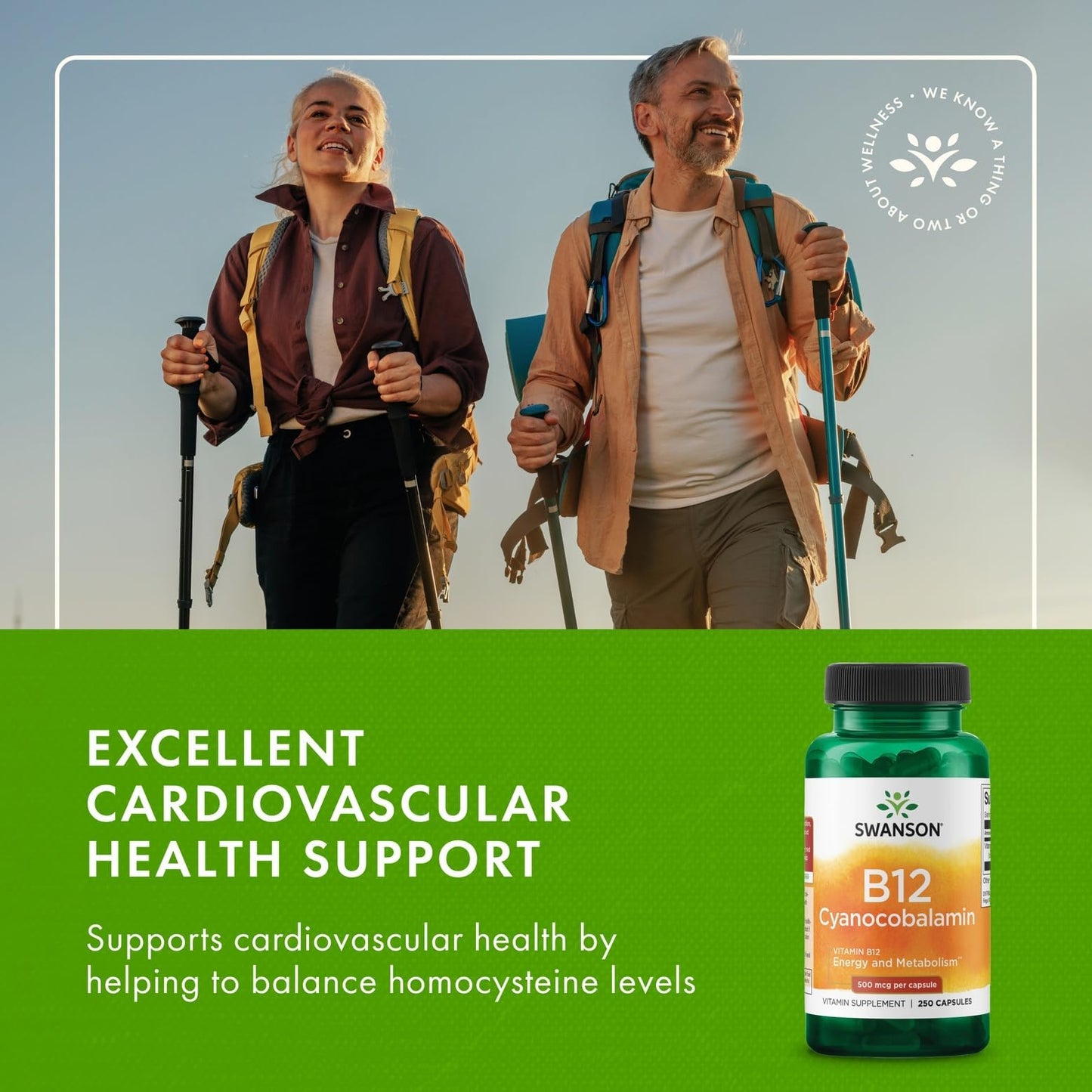 Swanson B12 Cyanocobalamin Capsules 500