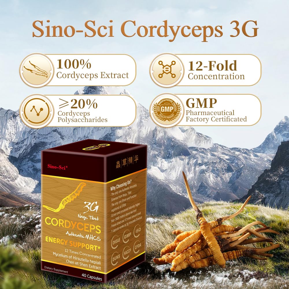 Sino-Sci Cordyceps 3G Capsule, Energy Booster & Immune Support, Pure Cordyceps 12X Extract, 40 Capsules