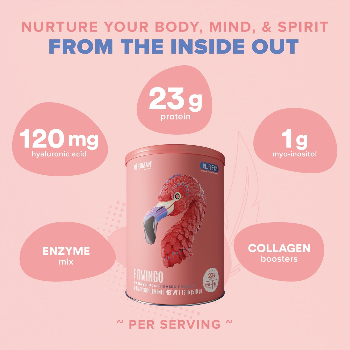 BIRDMAN Fitmingo Vegan Protein Powder Blueberry, 18 Servings
