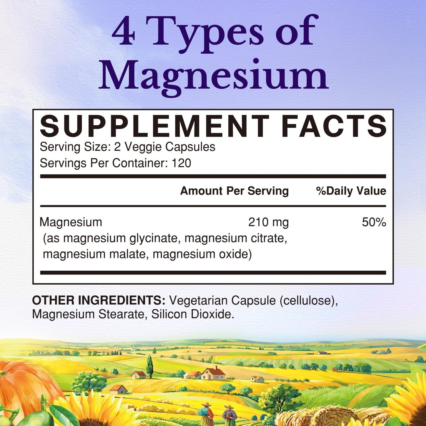 Vitalitown Magnesium Complex Capsules 240