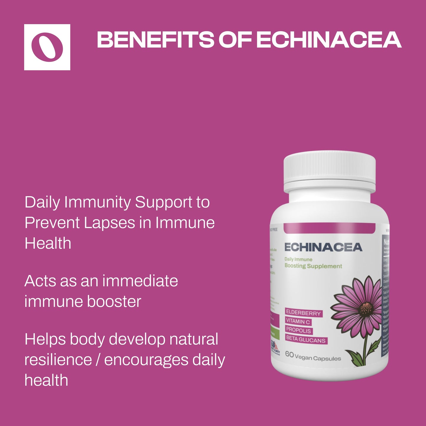 Only Nutri Labs Echinacea Dietary Supplement with Elderberry, Propolis, Vitamin C & Beta Glucans – Daily Wellness Capsules, 60 Count