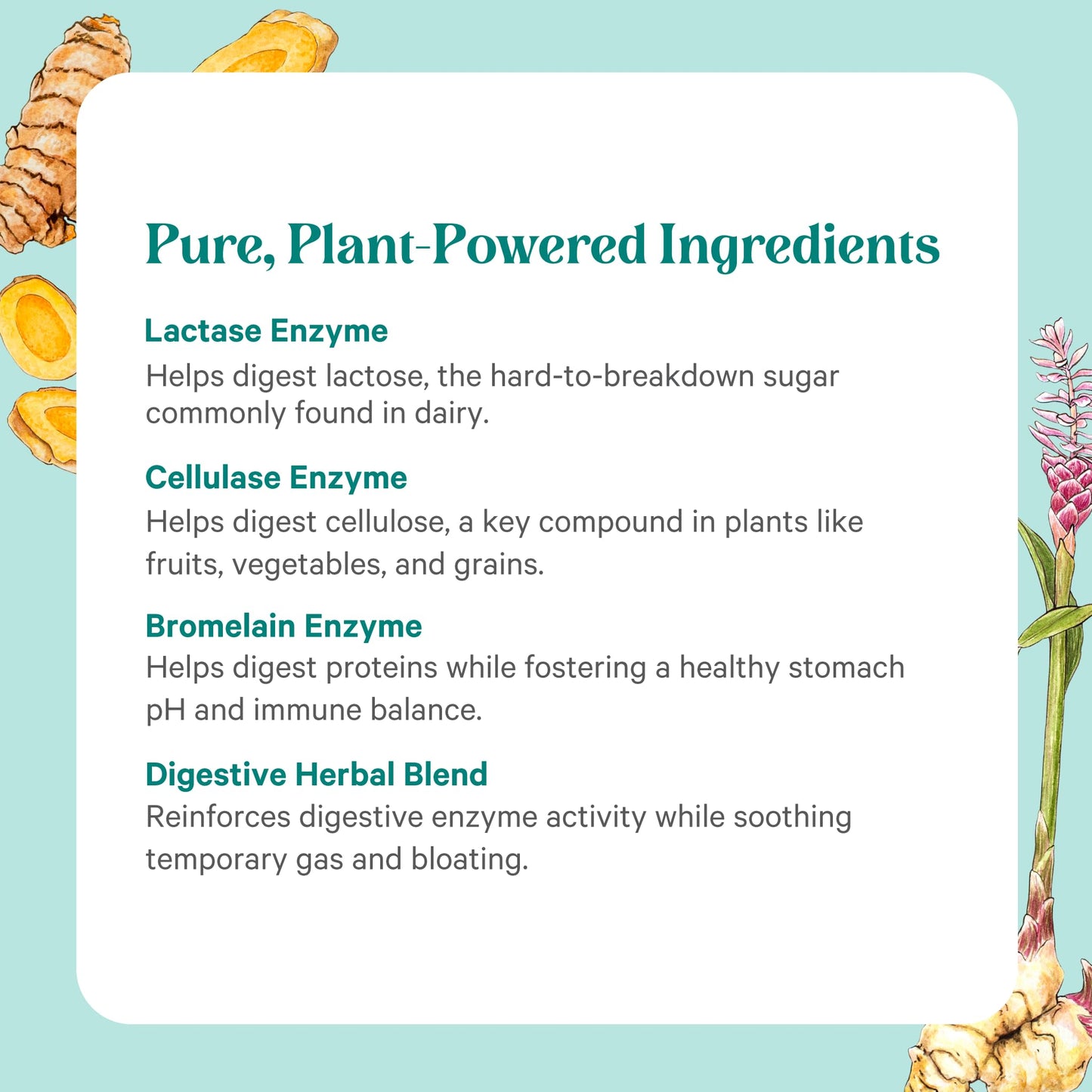 PURE SYNERGY Enzyme Power Digestive Enzyme Supplement Capsule 90