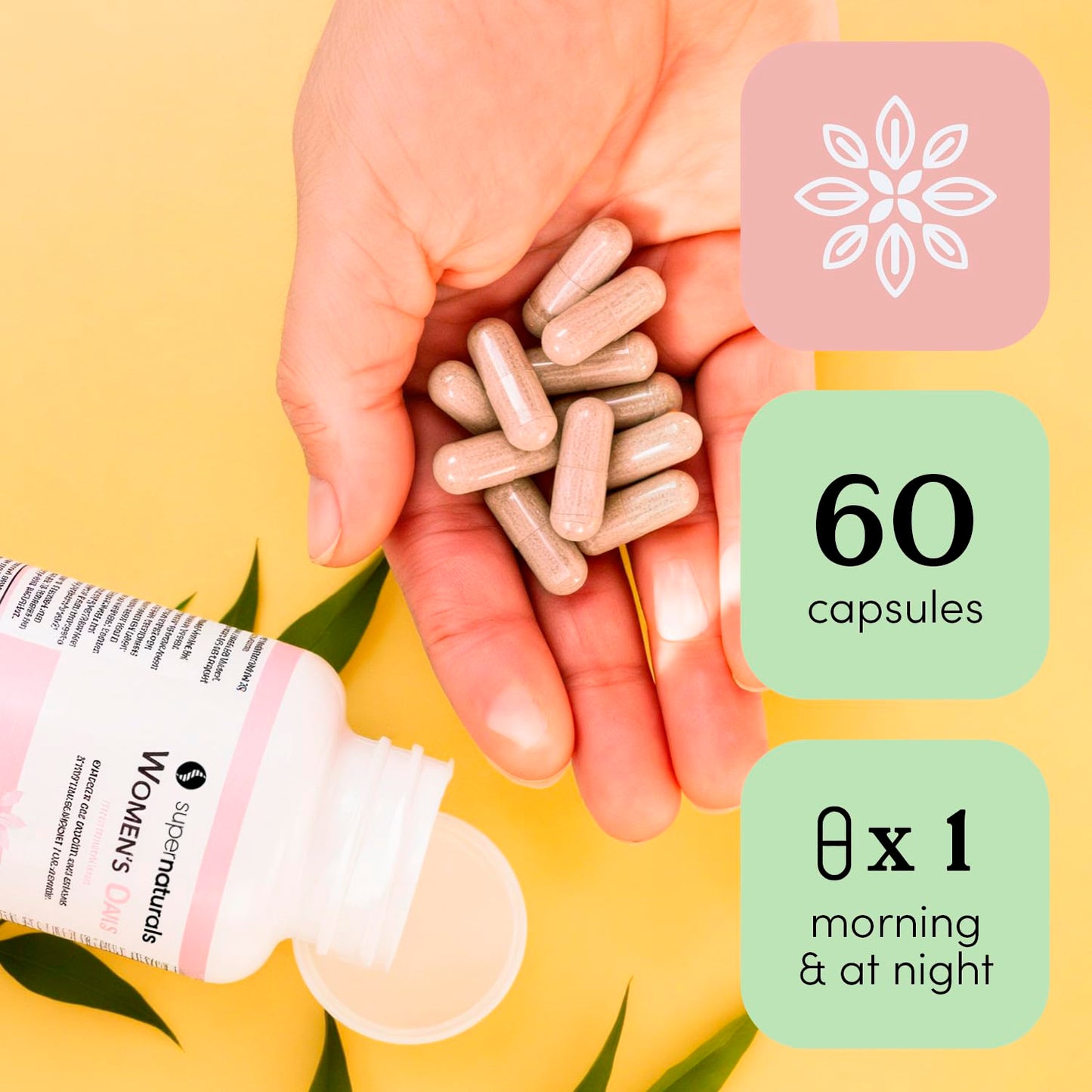 JLM NUTRITIONALS Multivitamin for Women Capsules, Immune Defense, Vegan, 60 Capsules