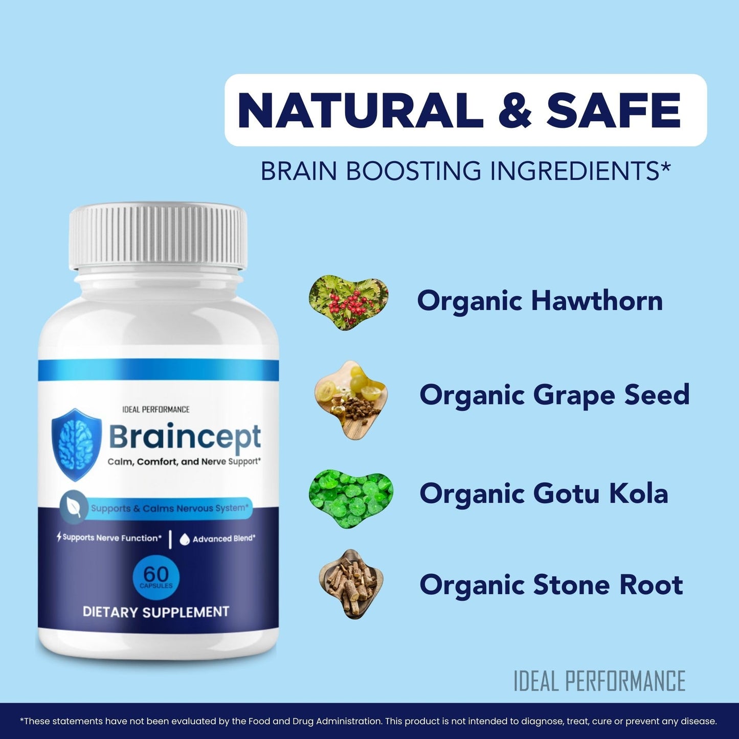 IDEAL PERFORMANCE Braincept Capsule 60 Count