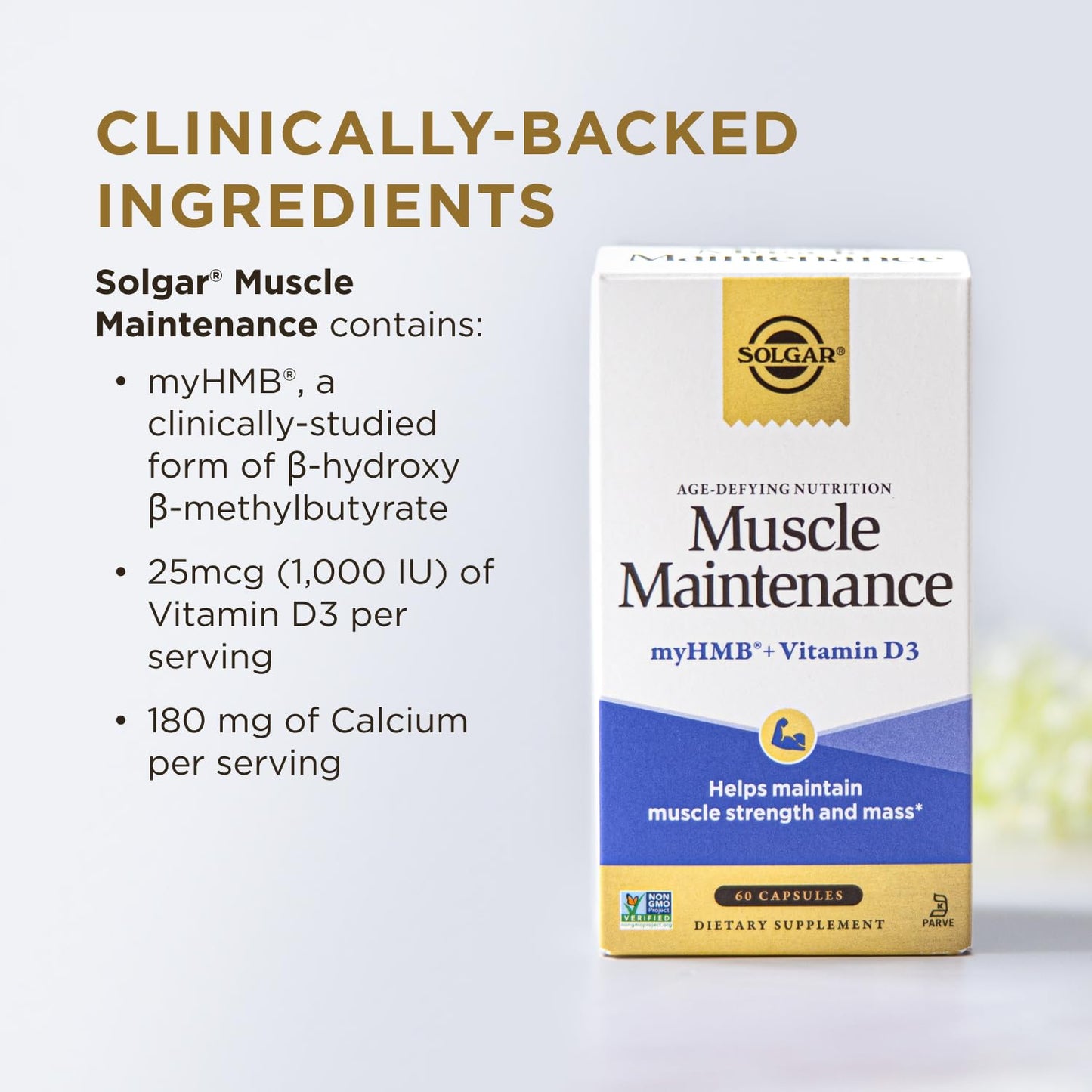 Solgar Muscle Maintenance Vitamin and Mineral Supplement Capsule 60 Count