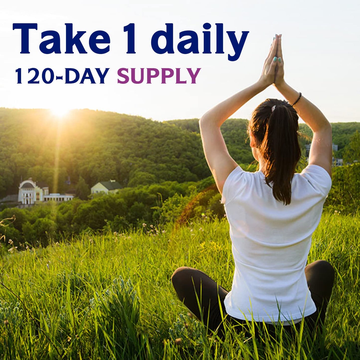 Innate Vitality Organic Milk Thistle Supplement Capsule, 120 Capsules