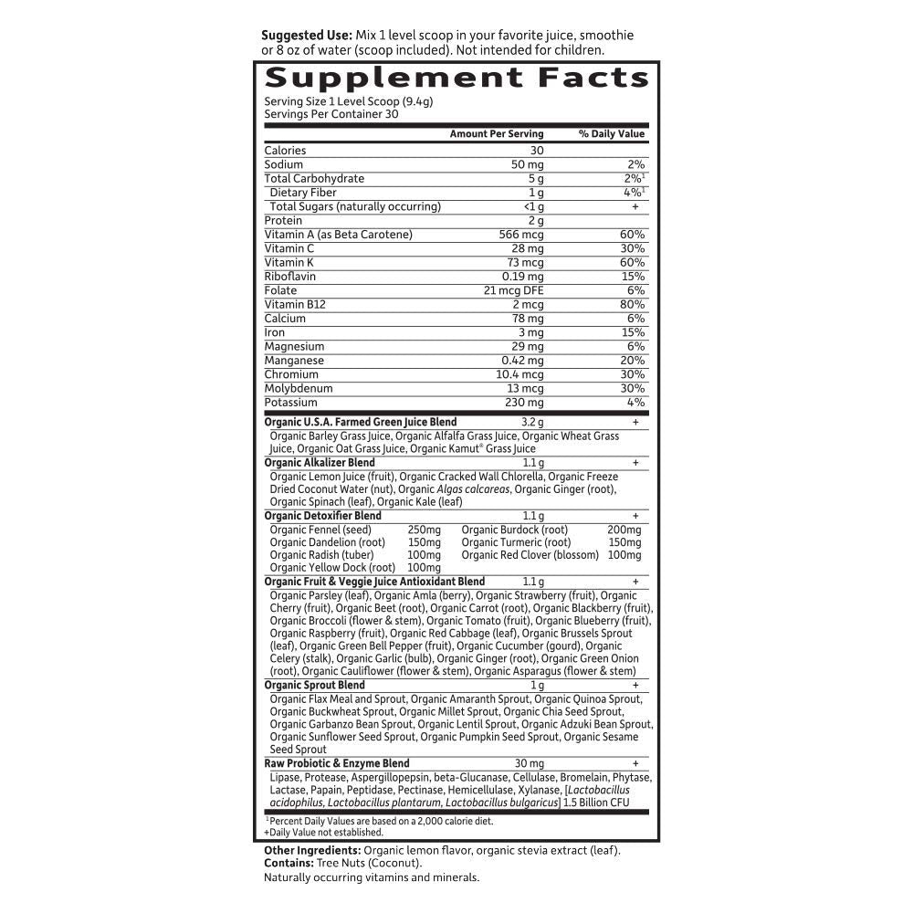 Garden of Life Vegan Green Superfood Powder - Raw Organic Perfect Whole Food Alkalizer & Detoxifier, 10 oz