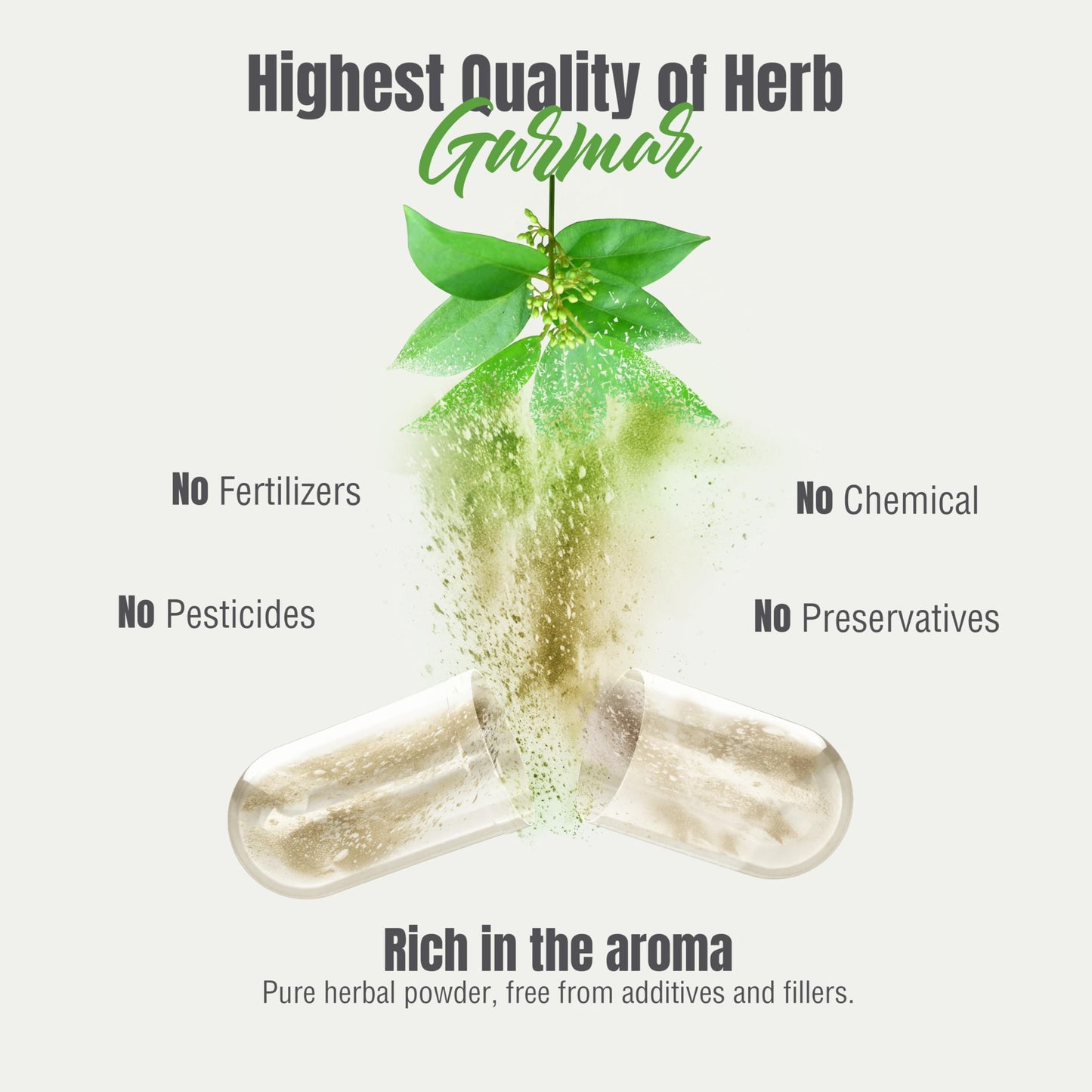 Herbsforever Gurmar Capsules Gymnema Sylvestre Herbal Supplement 180 Capsules