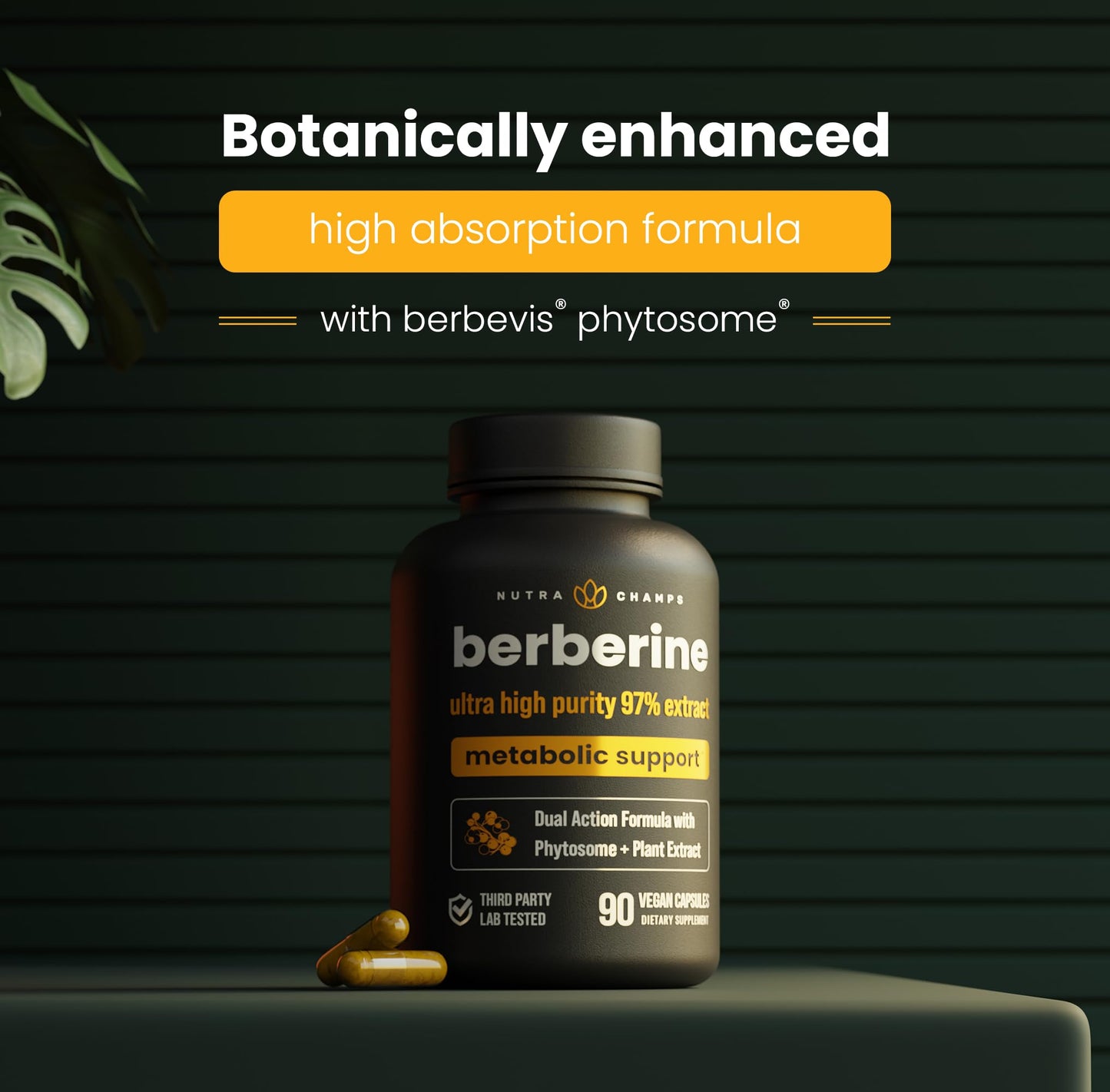 NutraChamps Berberine Supplement Capsules 90 Count