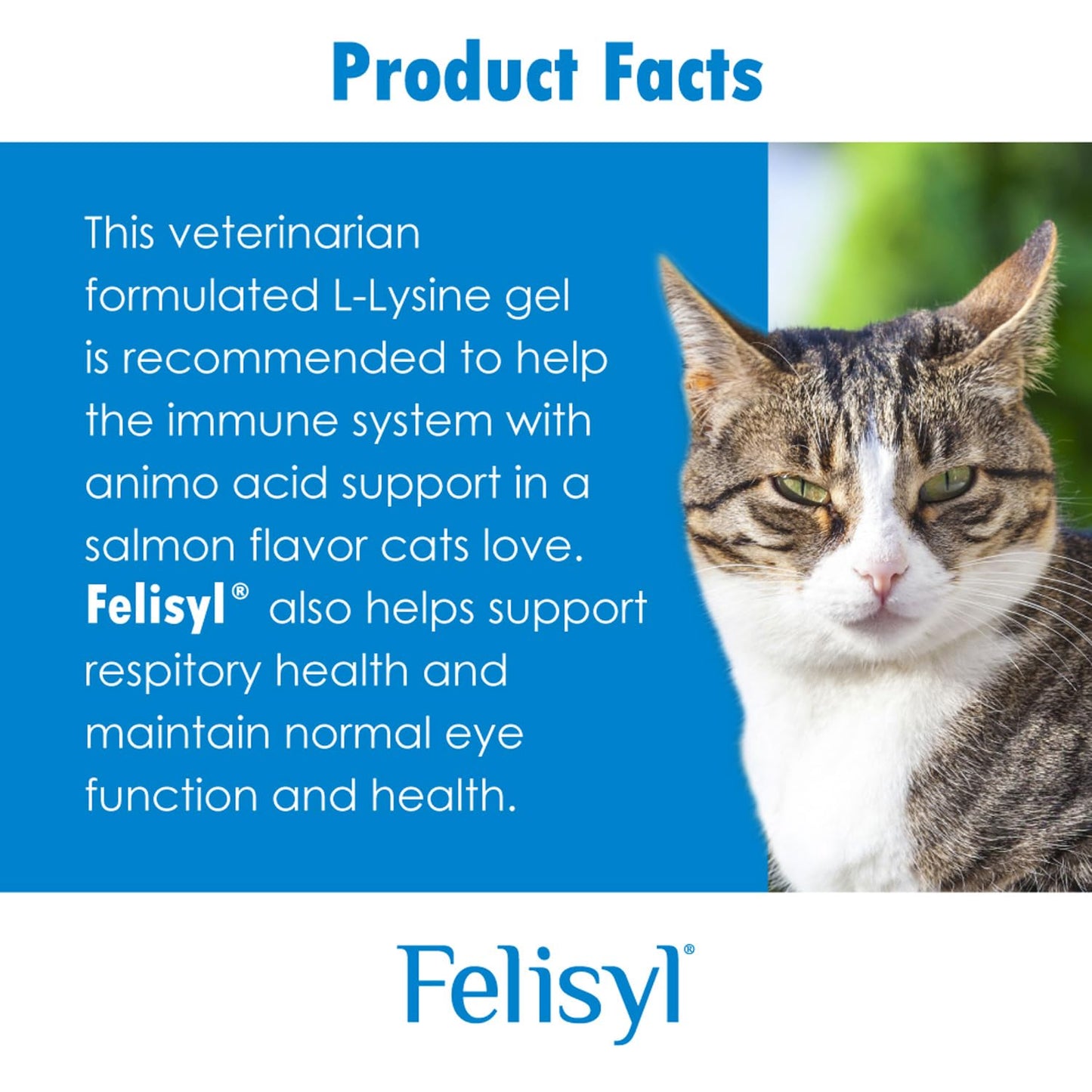 Pet Health Solutions L-Lysine for Cats Tablets, 1 Tablet