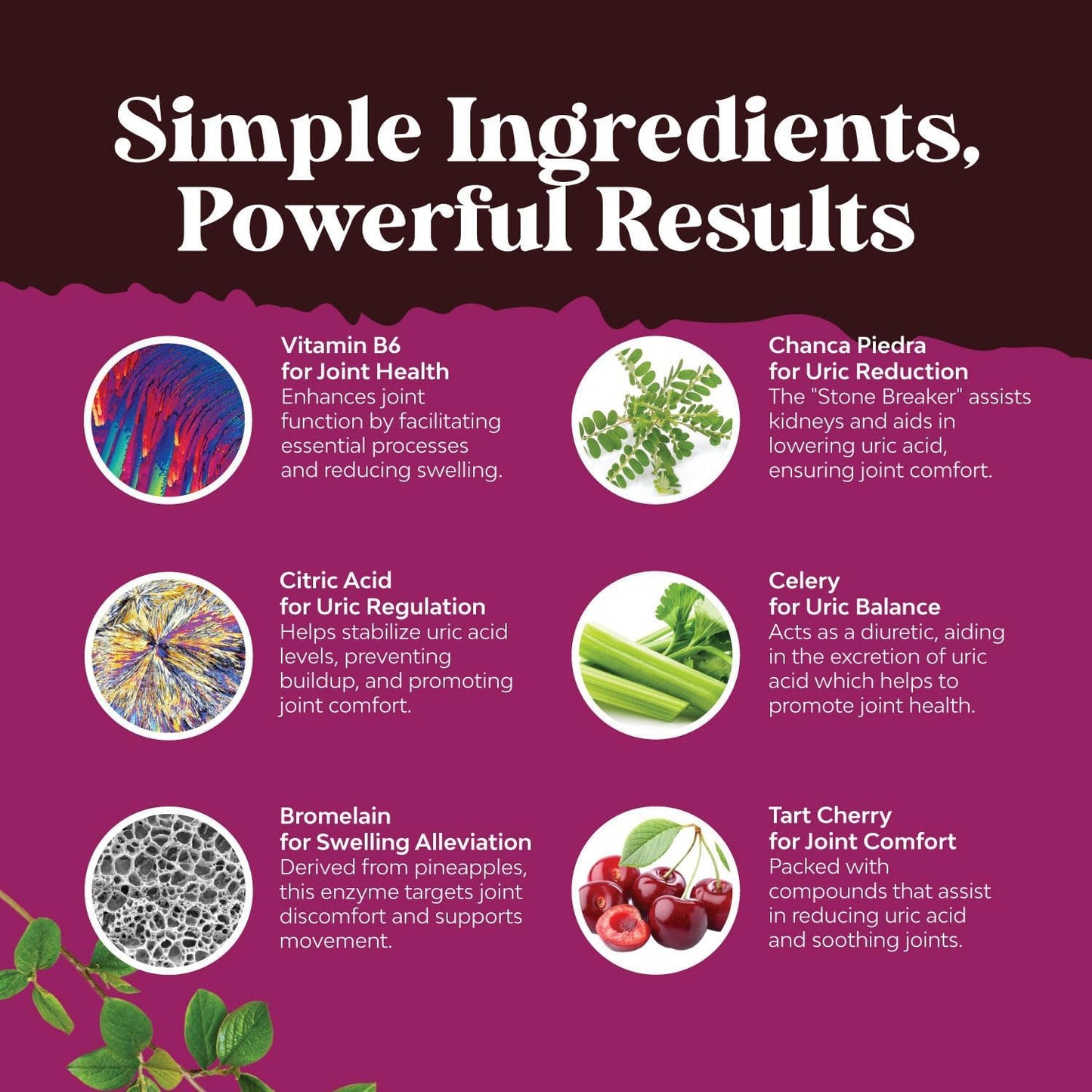 Natures Craft G-Cleanse Uric Acid Supplement Capsule 60