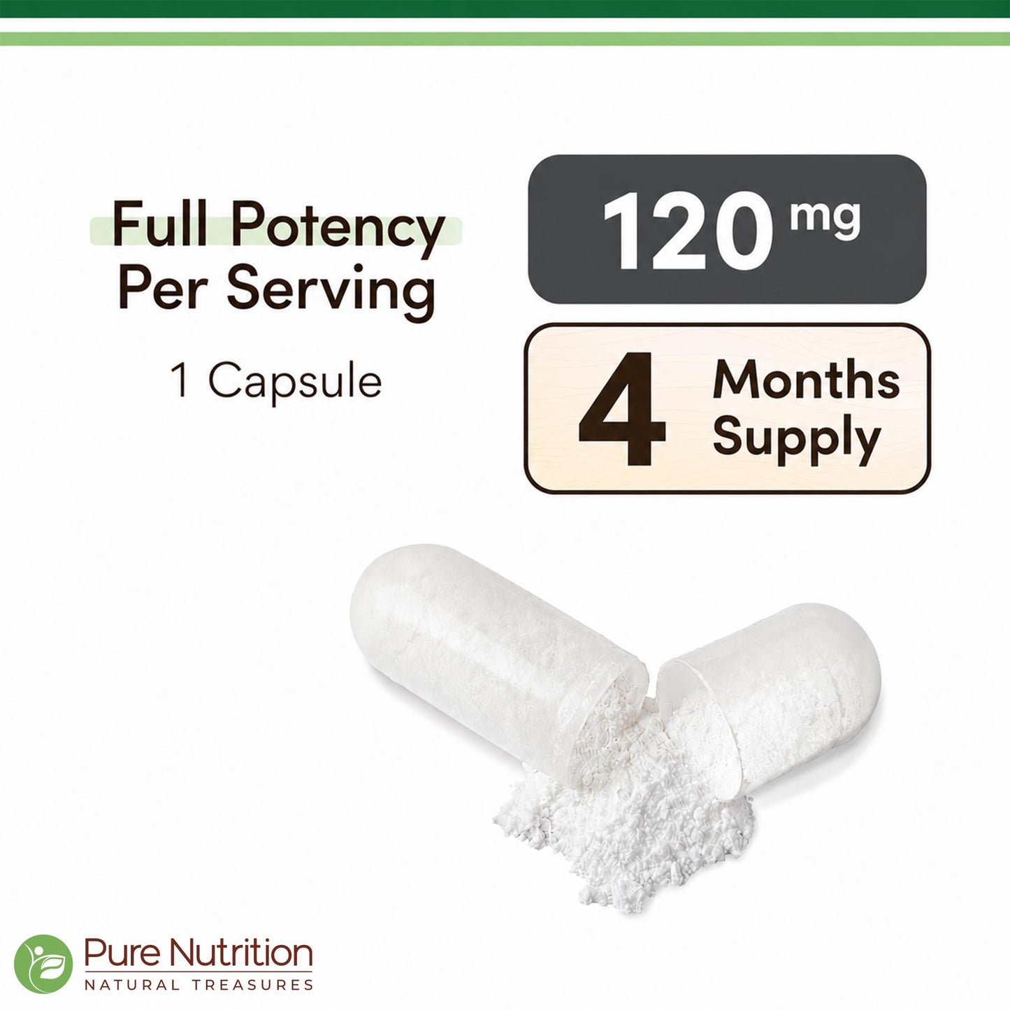 Pure Nutrition Natural Treasures Ginkgo Biloba 120 mg Capsules, 120 Count