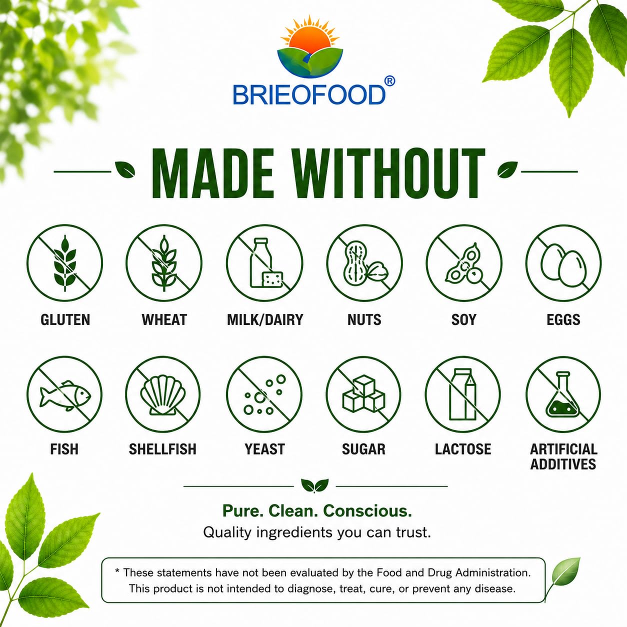 Brieofood Broccoli Sprout Extract 4:1 1000 mg Per Serving 240 Capsules