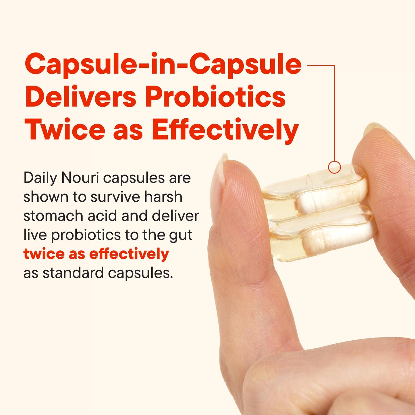 Daily Nouri Digestive Support Probiotics for Women & Men Capsules, 30 Count