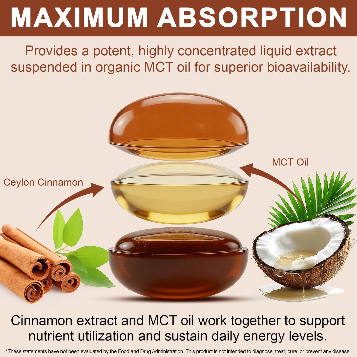 Dvoevivh Ceylon Cinnamon Softgels with MCT Oil 300 Capsules