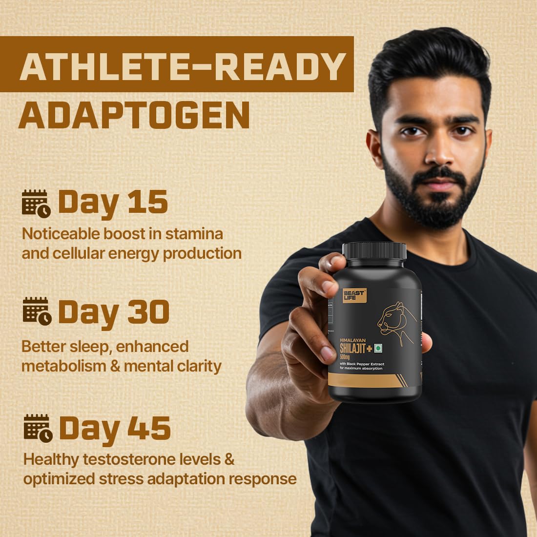 BEASTLIFE Himalayan Shilajit Capsules 60 Count