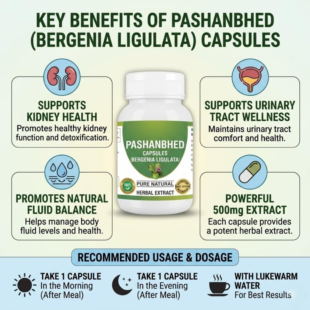 Morsan Healthcare Pashanabheda (Bergenia ligulata) Powder Capsules 240 Veg Capsules
