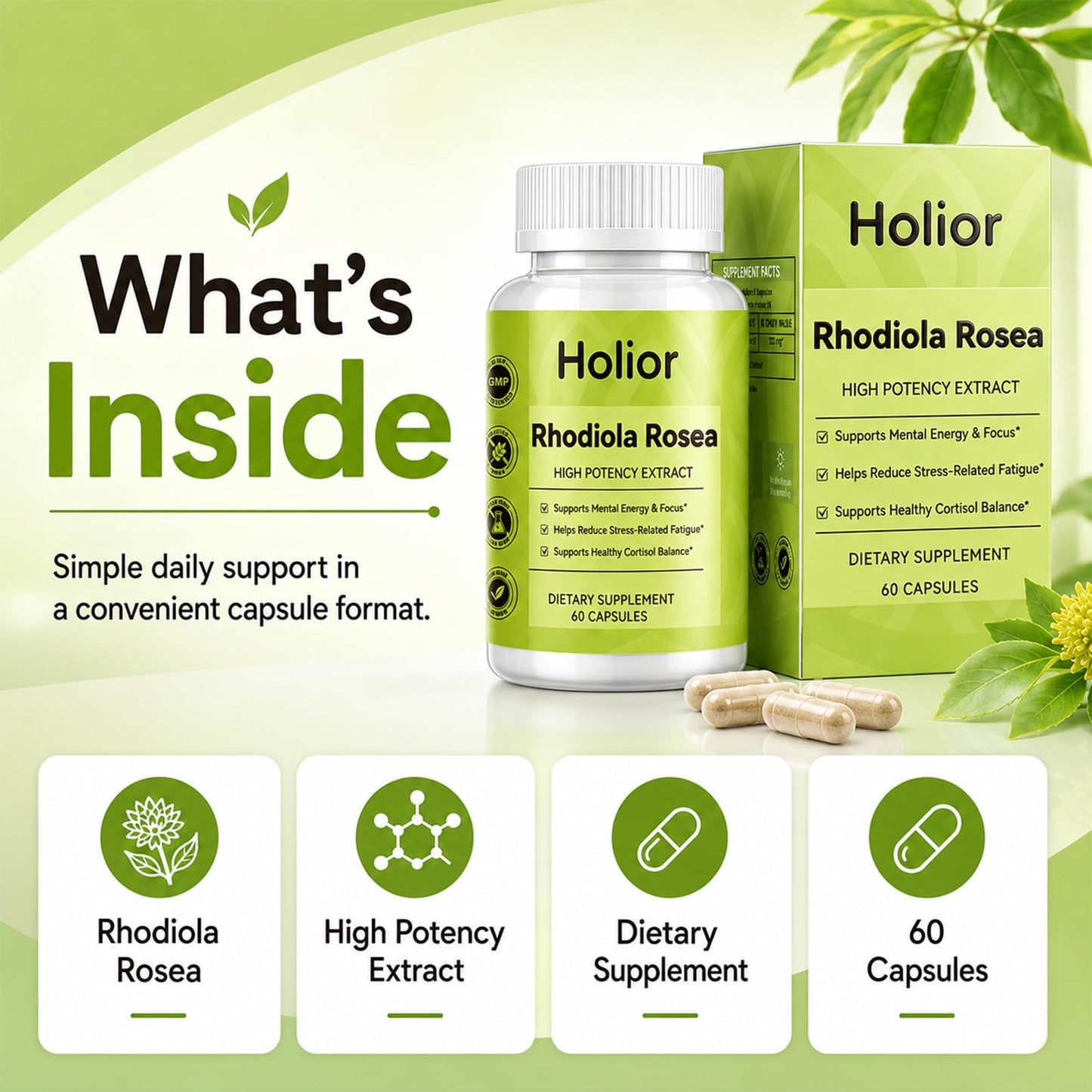 Ceduce Holior Rhodiola Rosea Supplement with Salidroside Capsule 60 Count